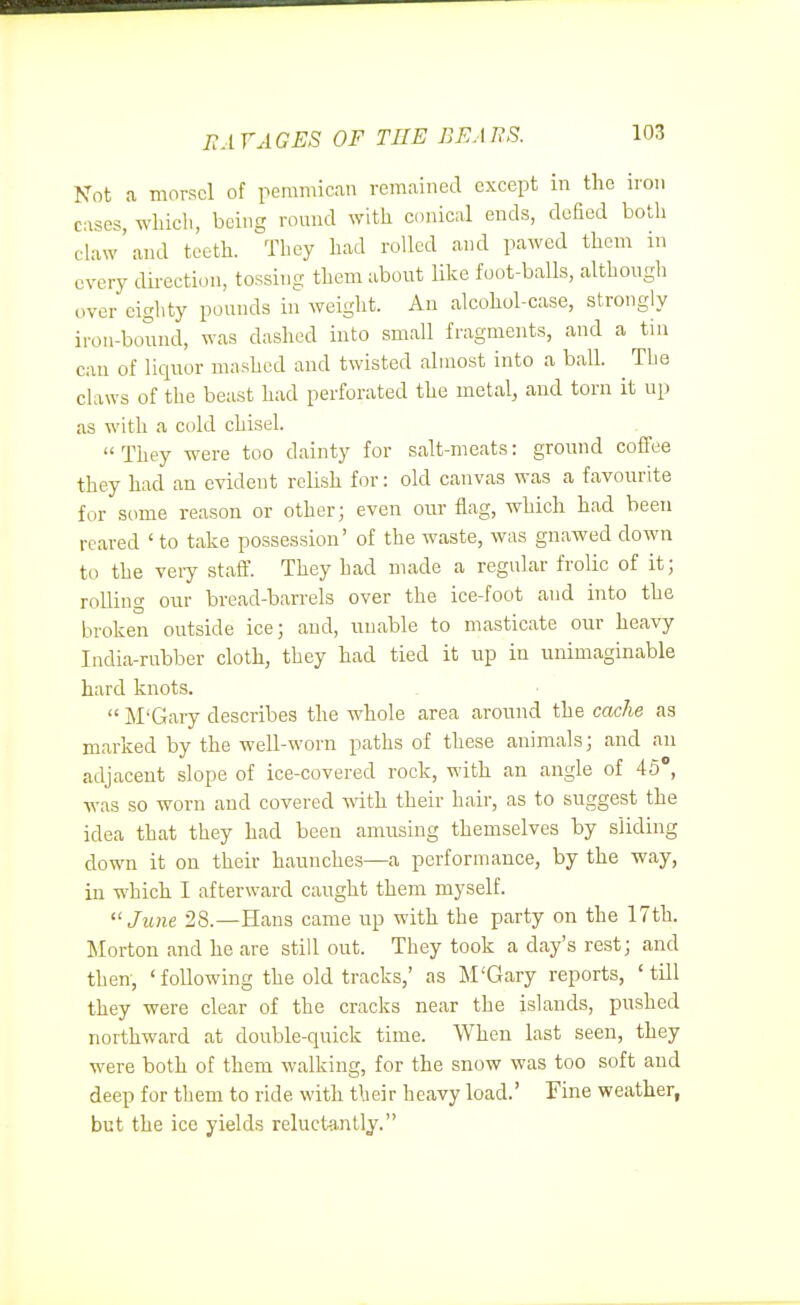 BAVAGES OF THE BEARS. Not a morsel of pemmic.in remained except in the iron cases, whicli, being round with conical ends, defied botli claw and teeth. They had rolled and pawed them m every direction, tossing them about like foot-balls, although over eighty pounds in weight. An alcohol-case, strongly iron-bound, was dashed into small fragments, and a tin can of liquor mashed and twisted almost into a ball. The claws of the beast had perforated the metal, and torn it up as with a cold chisel. They were too dainty for salt-meats: ground coffee they had an evident relish for: old canvas was a favourite for some reason or other; even our flag, which had been reared ' to take possession' of the waste, was gnawed down to the veiy staff. They had made a regular frolic of it; rolling our bread-barrels over the ice-foot and into the broken outside ice; and, unable to masticate our heavy India-rubber cloth, they had tied it up in unimaginable hard knots.  M'Gary describes the whole area around the cache as marked by the well-worn paths of these animals; and an adjacent slope of ice-covered rock, with an angle of 45°, was so worn and covered with their hair, as to suggest the idea that they had been amusing themselves by sliding down it on their haunches—a performance, by the way, in which I afterward caught them myself. Ju)ie 28.—Hans came up with the party on the 17th. Morton and he are still out. They took a day's rest; and then, 'following the old tracks,' as M'Gary reports, 'till they were clear of the cracks near the islands, pushed northward at double-quick time. When last seen, they were both of them walking, for the snow was too soft and deep for them to ride with their heavy load.' Tine weather, but the ice yields reluctantly.