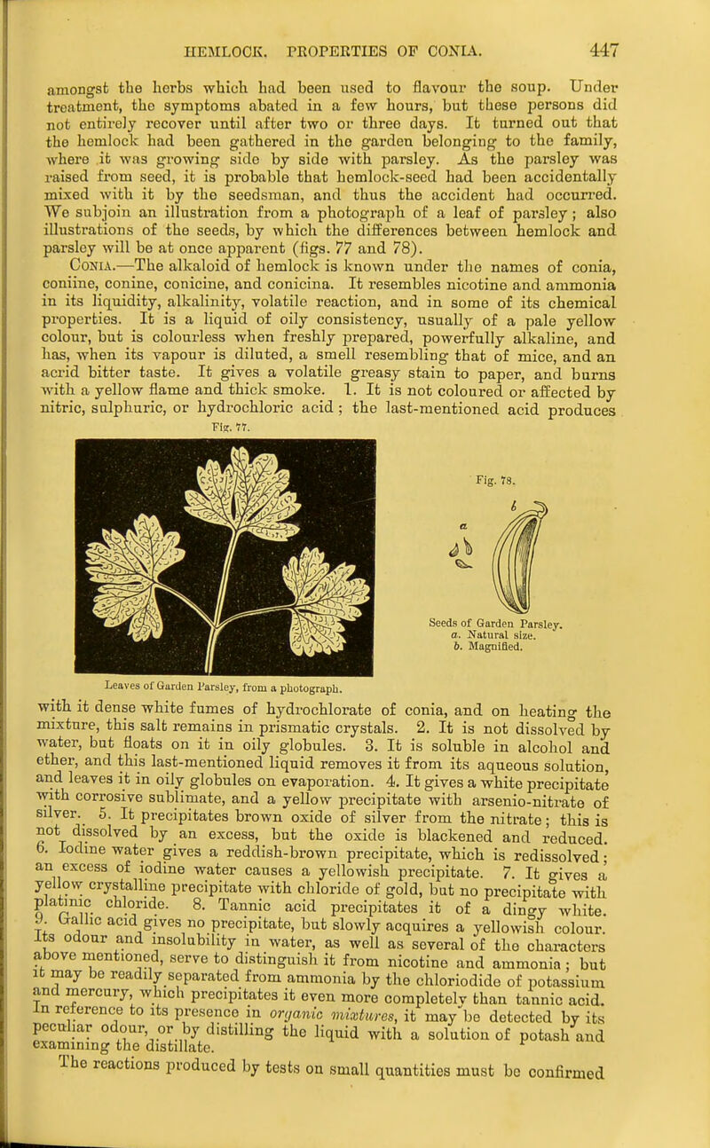 amongst the herbs which had been used to flavour the soup. Under treatment, the symptoms abated in a few hours, but these persons did not entirely recover until after two or three days. It turned out that the hemlock had been gathered in the garden belonging to the family, where it was growing side by side with parsley. As the parsley was raised from seed, it is probable that hemlock-seed had been accidentally mixed with it by the seed.sman, and thus the accident had occun-ed. We subjoin an illustration from a photograph of a leaf of parsley; also illustrations of the seeds, by which the differences between hemlock and parsley will be at once apparent (figs. 77 and 78). CoNiA.—The alkaloid of hemlock is known under the names of conia, coniine, conine, conicine, and conicina. It resembles nicotine and ammonia in its liquidity, alkalinity, volatile reaction, and in some of its chemical properties. It is a liquid of oily consistency, usually of a pale yellow colour, but is colourless when freshly prepared, powerfully alkaline, and has, when its vapour is diluted, a smell resembling that of mice, and an acrid bitter taste. It gives a volatile gi'easy stain to paper, and bums Avith a yellow flame and thick smoke. 1. It is not coloured or affected by nitric, sulphuric, or hydrochloric acid ; the last-mentioned acid produces ■Fist. 77. Seeds of Garden Parsley. a. Natural size. 6. Magnified. Leaves of Garden Parsley, from a photograph. with it dense white fumes of hydrochlorate of conia, and on heating the mixture, this salt remains in prismatic crystals. 2. It is not dissolved by water, but floats on it in oily globules. 3. It is soluble in alcohol and ether, and this last-mentioned liquid removes it from its aqueous solution, and leaves it in oily globules on evaporation. 4, It gives a white precipitate with corrosive sublimate, and a yellow precipitate with arsenio-nitrate of silver. 5. It precipitates brown oxide of silver from the nitrate; this is not dissolved by an excess, but the oxide is blackened and reduced, b. lodme water gives a reddish-brown precipitate, which is redissolved;' an excess of iodine water causes a yellowish precipitate. 7 It gives a yellovv crystalline precipitate with chloride of gold, but no precipitate with plafamc chloride. 8. Tannic acid precipitates it of a dingy white, y. l^allic acid gives no precipitate, but slowly acquires a yellowish colour. Its odour and insolubility in water, as well as several of the characters above mentioned, serve to distinguish it from nicotine and ammonia ; but It may be readily separated from ammonia by the chloriodide of potassium and mercury which precipitates it even more completelv than tannic acid, in reterence to its presence in organic mixtures, it may'be detected by its peculiar odour or by distilling the liquid with a solution of potash and examining the distillate. The reactions produced by tests on small quantities must be confirmed