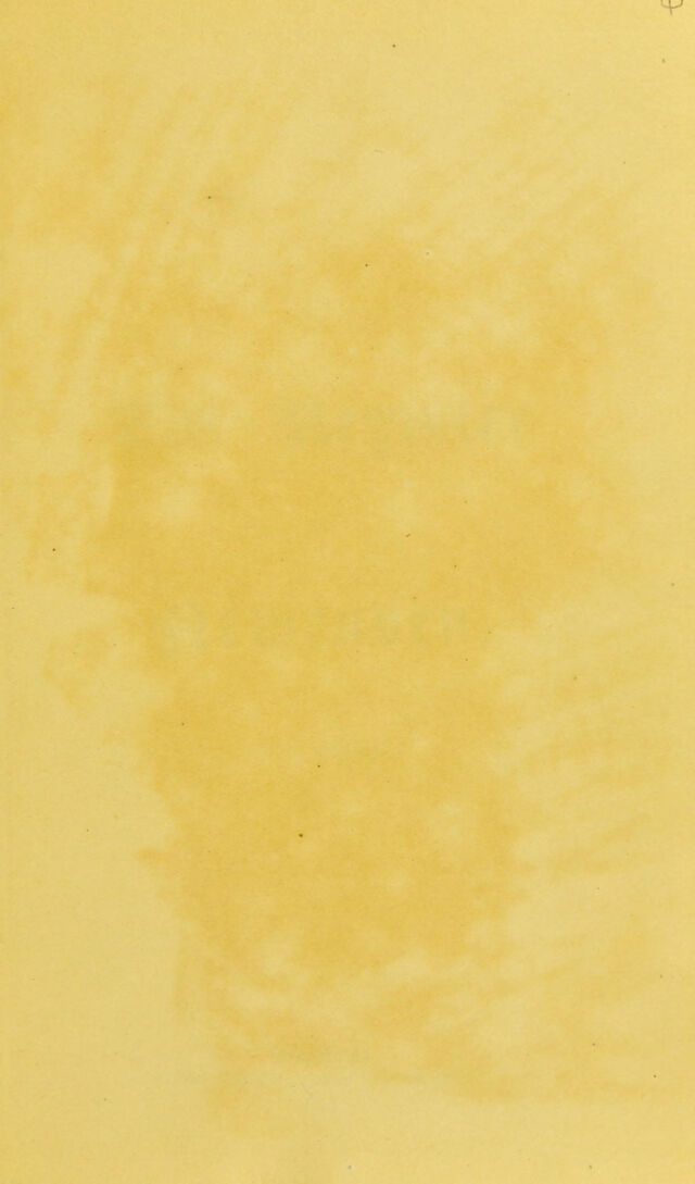 digitised image 3