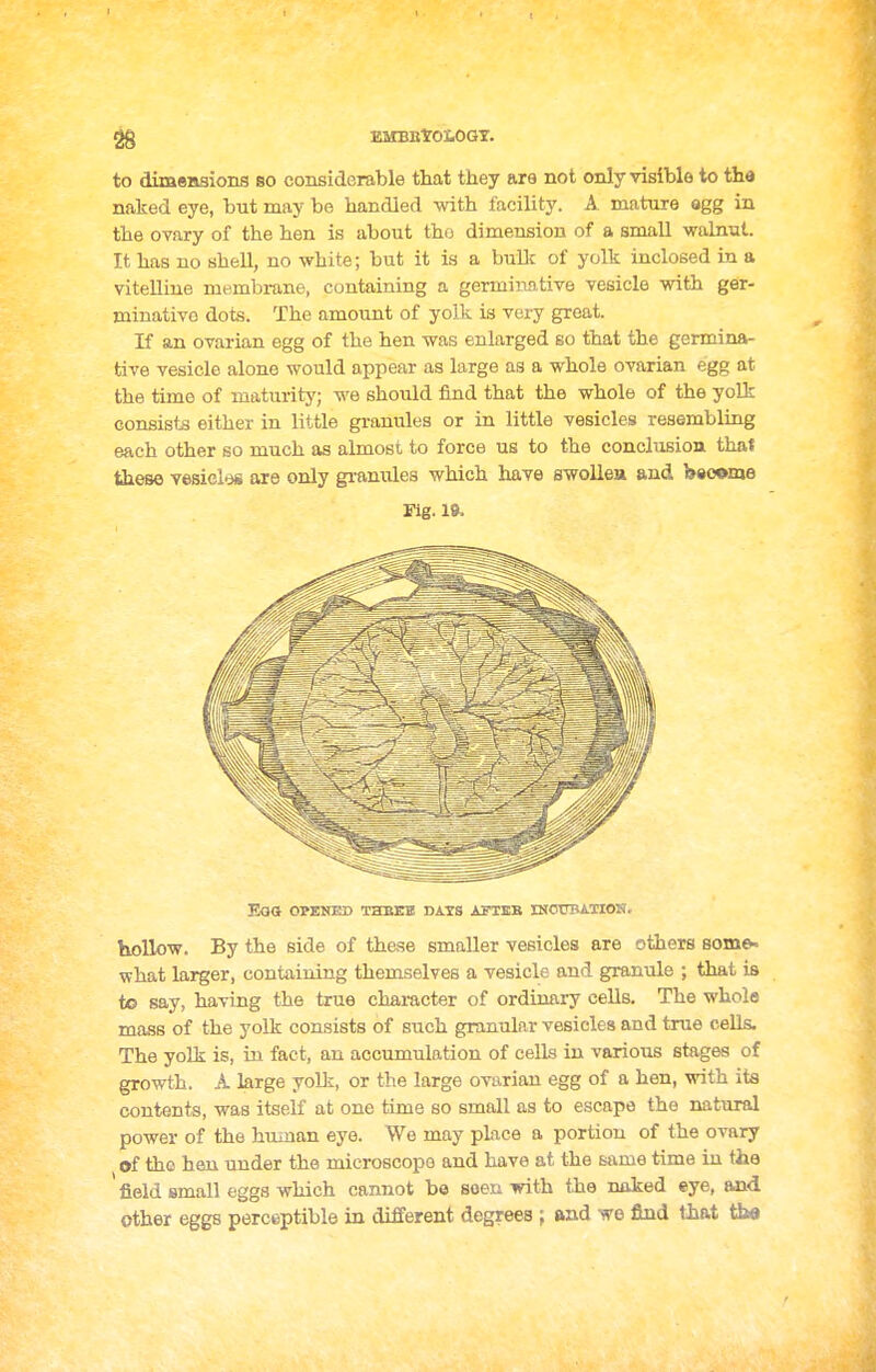 to dimsHsiong so considGrable that they are not only visible to tha naked eye, but may be handled ^dth facility. A mature agg in the ovary of the hen is about tho dimension of a small walnut. It has no shell, no white; but it is a bulk of yolk inclosed in a vitelline membrane, containing a germinative vesicle vrith ger- minativo dots. The amount of yolk is very great. If an ovarian egg of the hen was enlarged so that the germina- tive vesicle alone would appear as large as a whole ovarian egg at the time of maturity; we should find that the whole of the yolk Gonsiste either in little granules or in little vesicles resembling each other so much as almost to force us to the conclusion that these vesiel'js are only gramxles which have swollea and bsoome mg.19. Eos OMNED THBEE DAYS AFTBB mOTTBATIOI!. hollow. By the side of these smaller vesicles are others 8om&. what lai^er, containing themselves a vesicle and granule ; that is to say, having the true character of ordinary cells. The whole mass of the yolk consists of such granular vesicles and true cells. The yolk is, in fact, an accumulation of cells in various stages of growth. A large yolk, or the large ovarian egg of a hen, with its contents, was itself at one time so small as to escape the natural power of the hiunan eye. We may place a portion of the ovary of tho hen under the microscope and have at the mxixiQ time in tlie field small eggs which cannot be seen with the naked eye, and other eggs perceptible in different degrees ; and wo find lhat tb«