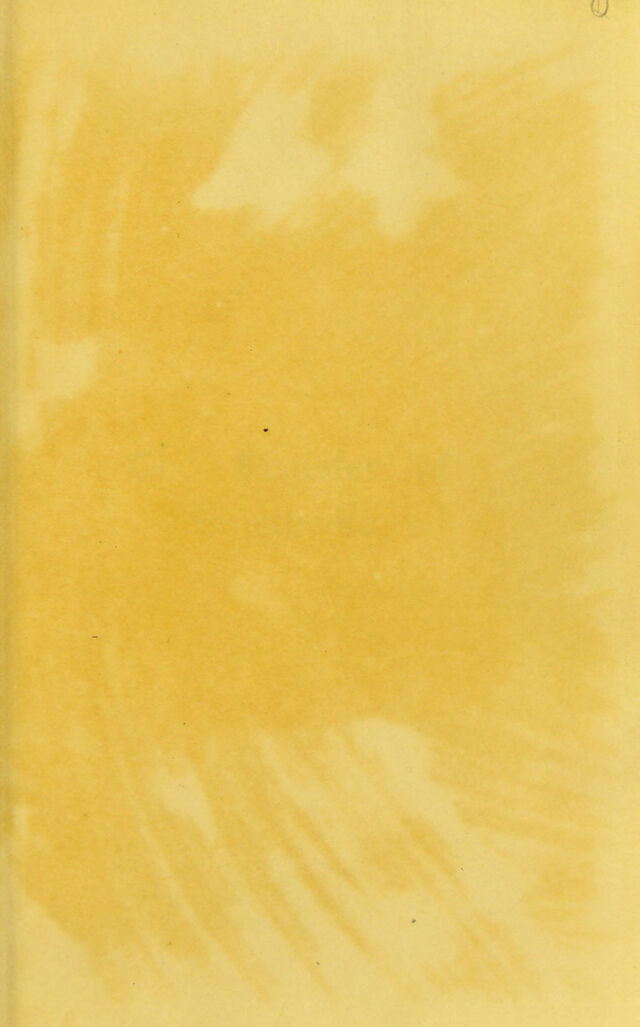 digitised image 3