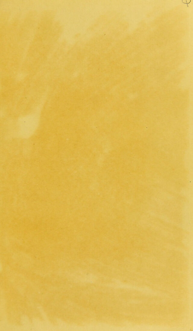 digitised image 3