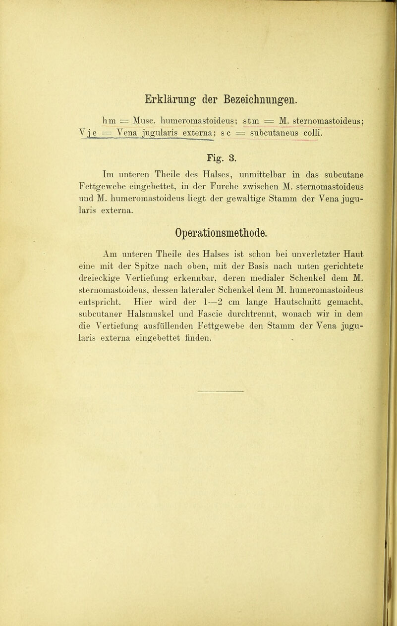 Erklärung der Bezeichnungen. hm = Muse, liumeromastoideus; stm = M. sternomastoideus; Vje = Vena jug-ularis externa; sc = subcutaneus colli. Fig. 3. Im unteren Theile des Halses, unmittelbar in das subcutane Fettgewebe eingebettet, in der Furche zwischen M. sternomastoideus und M. liumeromastoideus liegt der gewaltige Stamm der Vena jugu- laris externa. Operationsmethode. Am unteren Theile des Halses ist schon bei unverletzter Haut eine mit der Spitze nach oben, mit der Basis nach unten gerichtete dreieckige Vertiefung erkennbar, deren medialer Schenkel dem M. sternomastoideus, dessen lateraler Schenkel dem M. humeromastoideus entspricht. Hier wird der 1—2 cm lange Hautschnitt gemacht, subcutaner Halsmuskel und Fascie durchtrennt, wonach wir in dem die Vertiefung ausfüllenden Fettgewebe den Stamm der Vena jugu- laris externa eingebettet finden.