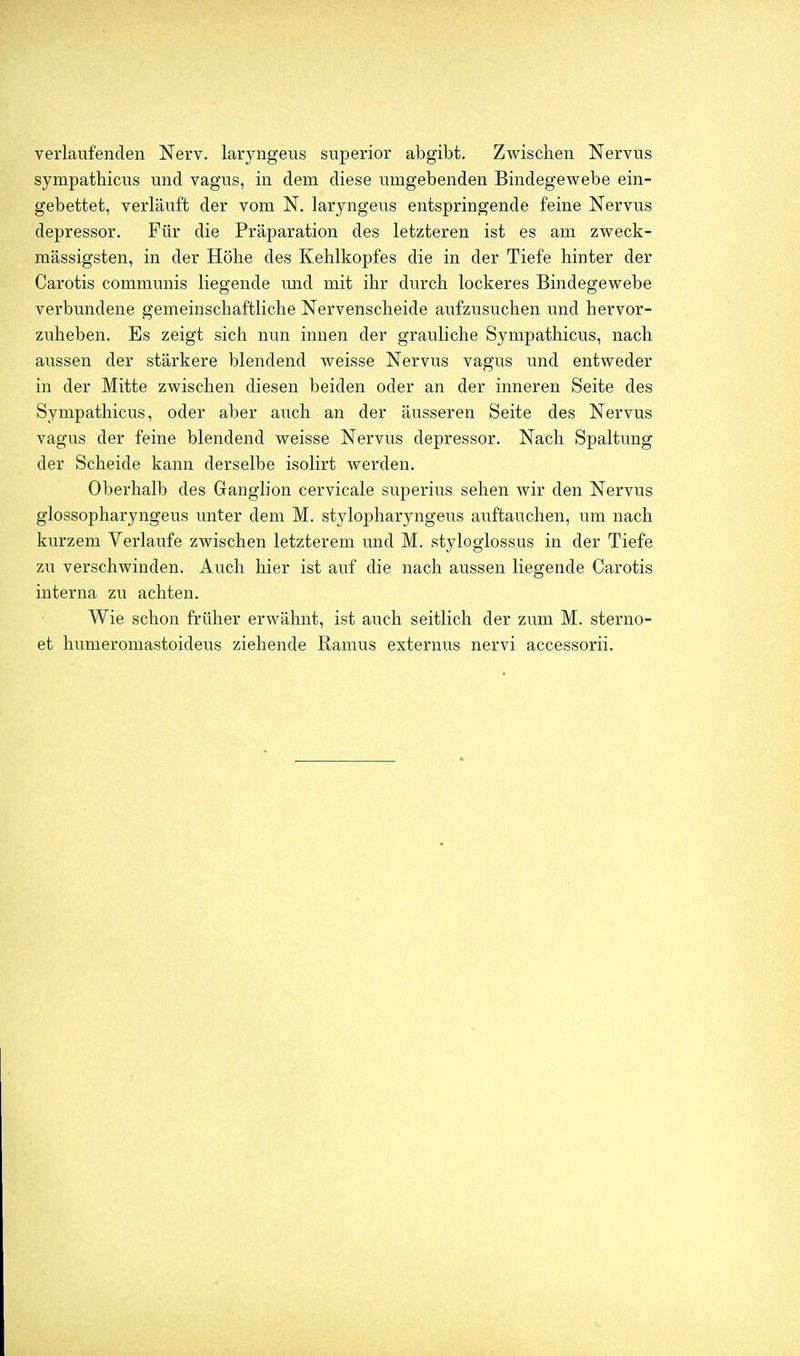 verlaufenden Nerv, laryngeus superior abgibt. Zwischen Nervus sympathicus und vagus, in dem diese umgebenden Bindegewebe ein- gebettet, verläuft der vom N. laryngeus entspringende feine Nervus depressor. Für die Präparation des letzteren ist es am zweck- mässigsten, in der Höhe des Kehlkopfes die in der Tiefe hinter der Carotis communis liegende imd mit ihr durch lockeres Bindegewebe verbundene gemeinschaftliche Nervenscheide aufzusuchen und hervor- zuheben. Es zeigt sich nun innen der grauliche Sympathicus, nach aussen der stärkere blendend weisse Nervus vagus imd entweder in der Mitte zwischen diesen beiden oder an der inneren Seite des Sympathicus, oder aber auch an der äusseren Seite des Nervus vagus der feine blendend weisse Nervus depressor. Nach Spaltung der Scheide kann derselbe isolirt werden. Oberhalb des Ganglion cervicale superius sehen wir den Nervus glossopharyngeus unter dem M. stylopharyngeus auftauchen, um nach kurzem Verlaufe zwischen letzterem und M. styloglossus in der Tiefe zu verschwinden. Auch hier ist auf die nach aussen liegende Carotis interna zu achten. Wie schon früher erwähnt, ist auch seitlich der zum M. sterno- et humeromastoideus ziehende Ramus externus nervi accessorii.