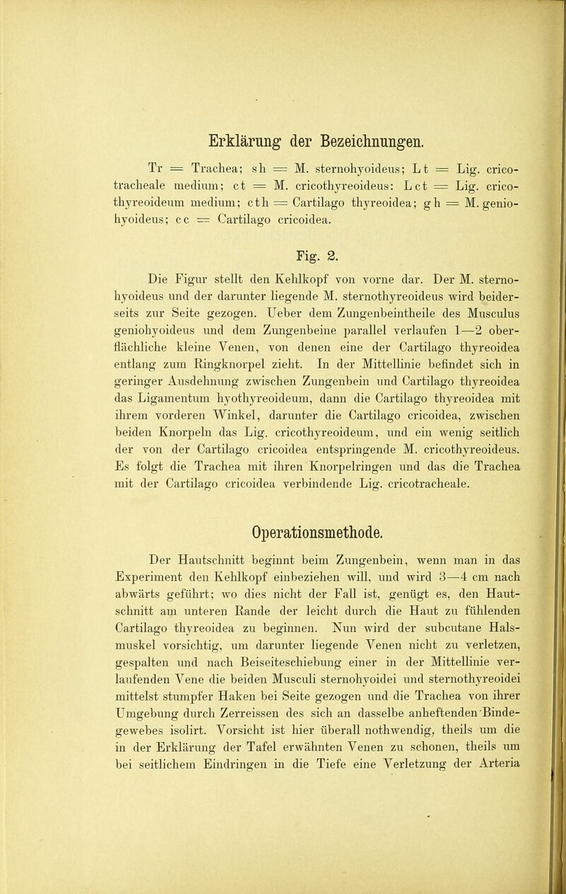 Erklärung der Bezeichnungen. Tr — Trachea; sli = M. sternohyoideus; Lt = Lig. crico- tracheale medmm; et = M. cricothyreoideus: Lct = Lig. crico- thyreoideum medium; cth = Cartilago thyreoidea; gh = M. genio- hyoideus; cc — Cartilago cricoidea. Fig. 2. Die Figur stellt den Kehlkopf von vorne dar. Der M. sterno- hyoideus und der darunter liegende M. sternothyreoideus wird beider- seits zur Seite gezogen. lieber dem Zungenbeintheile des Musculus geniohyoideus und dem Zungenbeine parallel verlaufen 1—2 ober- flächliche kleine Venen, von denen eine der Cartilago thyreoidea entlang zum Ringknorpel zieht. In der Mittellinie befindet sich in geringer Ausdehnung zwischen Zungenbein und Cartilago thyreoidea das Ligamentum hyothyreoideum, dann die Cartilago thyreoidea mit ihrem vorderen Winkel, darunter die Cartilago cricoidea, zwischen beiden Knorpeln das Lig. cricothyreoideum, imd ein wenig seitlich der von der Cartilago cricoidea entspringende M. cricothyreoideus. Es folgt die Trachea mit ihren Knorpelringen und das die Trachea mit der Cartilago cricoidea verbindende Lig. cricotracheale. Operationsmethode. Der Hautschnitt beginnt beim Zungenbein, wenn man in das Experiment den Kehlkopf einbeziehen will, und wird 3—4 cm nach abwärts geführt; wo dies nicht der Fall ist, genügt es, den Haut- schnitt am unteren Rande der leicht durch die Haut zu fühlenden Cartilago thyreoidea zu beginnen. Nun wird der subcutane Hals- muskel vorsichtig, um darunter liegende Venen nicht zu verletzen, gespalten und nach Beiseiteschiebxmg einer in der Mittellinie ver- laufenden Vene die beiden Musculi sternohyoidei und sternothyreoidei mittelst stumpfer Haken bei Seite gezogen und die Trachea von ihrer Umgebung durch Zerreissen des sich an dasselbe anheftenden Binde- gewebes isolirt. Vorsicht ist hier überall nothwendig, theils um die in der Erklärung der Tafel erwähnten Venen zu schonen, theils um bei seitlichem Eindringen in die Tiefe eine Verletzung der Arteria