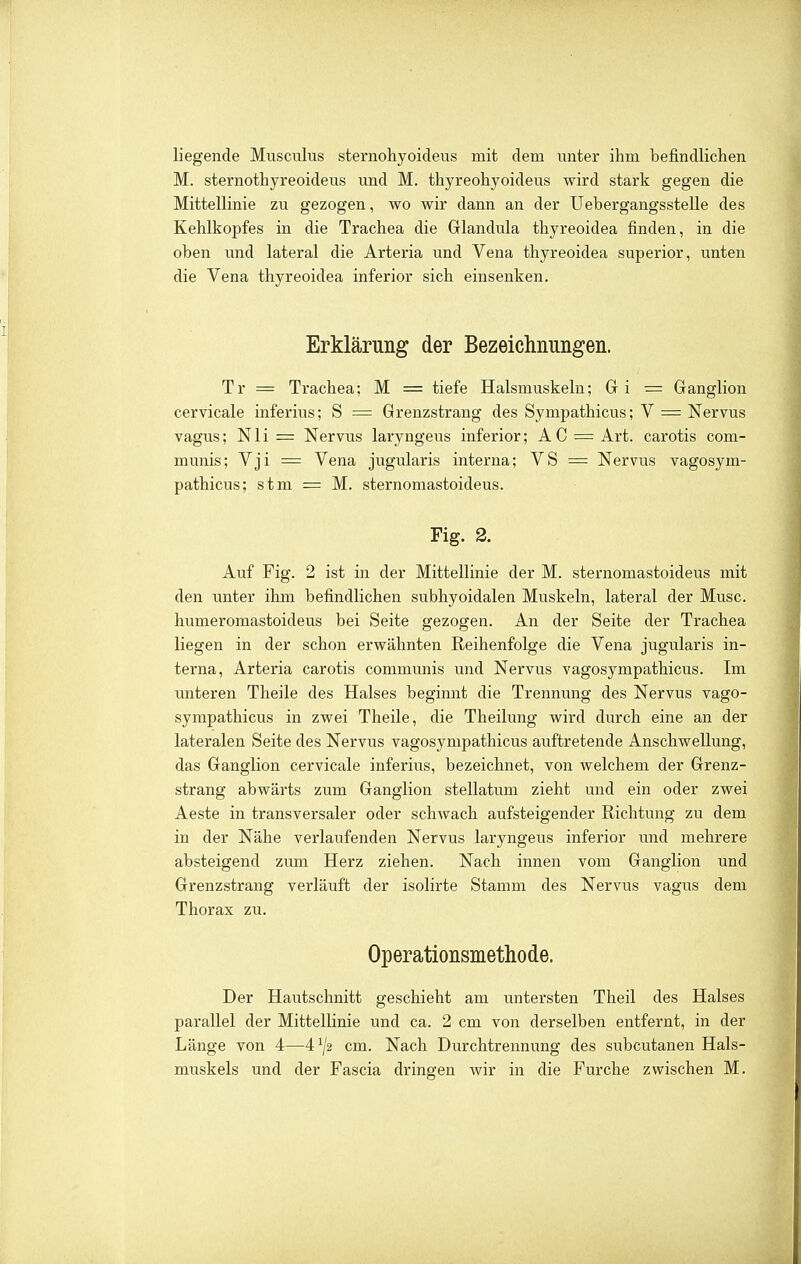 liegende Musculus sternohyoideus mit dem unter ihm befindlichen M. sternothyreoideus und M. thyreohyoideus wird stark gegen die Mittellinie zu gezogen, wo wir dann an der Uebergangsstelle des Kehlkopfes in die Trachea die Grlandula thyreoidea finden, in die oben und lateral die Arteria und Vena thyreoidea superior, unten die Vena thyreoidea inferior sich einsenken. Erklärung der Bezeichnungen. Tr = Trachea; M = tiefe Halsmuskeln; Gi = Ganglion cervicale inferius; S = Grenzstrang des Sympathicus; V = Nervus vagus; Nli = Nervus laryngeus inferior; AC = Art. carotis com- munis; Vji = Vena jugularis interna; VS == Nervus vagosym- pathicus; stm = M. sternomastoideus. Fig. 2. Auf Fig. 2 ist in der Mittellinie der M. sternomastoideus mit den unter ihm befindlichen subhyoidalen Muskeln, lateral der Muse, humeromastoideus bei Seite gezogen. An der Seite der Trachea liegen in der schon erwähnten Reihenfolge die Vena jugularis in- terna, Arteria carotis communis und Nervus vagosympathicus. Im unteren Theile des Halses beginnt die Trennung des Nervus vago- sympathicus in zwei Theile, die Theilung wird durch eine an der lateralen Seite des Nervus vagosympathicus auftretende Anschwellung, das Ganglion cervicale inferius, bezeichnet, von welchem der Grenz- strang abwärts zum Ganglion stellatum zieht und ein oder zwei Aeste in transversaler oder schwach aufsteigender Richtung zu dem in der Nähe verlaufenden Nervus laryngeus inferior und mehrere absteigend zum Herz ziehen. Nach innen vom Ganglion und Grenzstrang verläuft der isolirte Stamm des Nervus vagus dem Thorax zu. Operationsmethode. Der Hautschnitt geschieht am untersten Theil des Halses parallel der Mittellinie und ca. 2 cm von derselben entfernt, in der Länge von 4—4^/2 cm. Nach Durchtrennung des subcutanen Hals- muskels und der Fascia dringen wir in die Furche zwischen M.