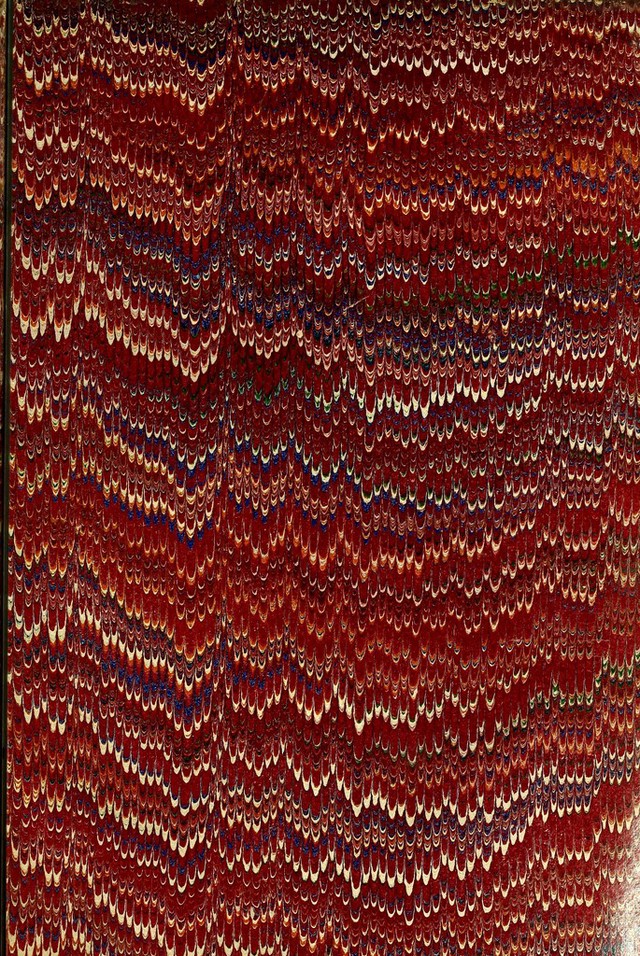 No text description is available for this image