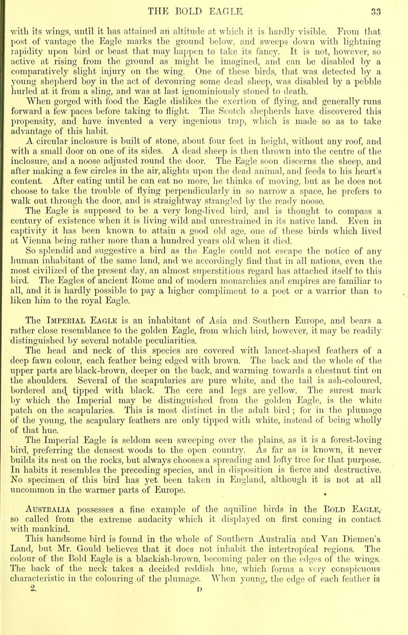 with its wings, until it lias attained an altitude at wbicli it is liardly visible. From that post of vantage the Eagle marks the ground below, and sweeps down with lightning rapidity upon bird or beast that may happen to take its fancy. It is not, however, so active at rising from the ground as might be imagined, and can be disabled by a comparatively slight injury on the wing. One of these birds, that was detected by a young shepherd boy in the act of devouring some dead sheep, was disabled by a pebble hurled at it from a sling, and was at last ignominiously stoned to death. When gorged with food the Eagle dislikes the exertion of flying, and generally runs forward a few paces before taking to flight. The Scotch shepherds have discovered this propensity, and have invented a very ingenious trap, which is made so as to take advantage of this habit. A circular inclosure is built of stone, about four feet in height, without any roof, and with a small door on one of its sides. A dead slieep is then thrown into the centre of the inclosure, and a noose adjusted round the door. The Eagle soon discerns the sheep, and after making a few circles in the air, alights upon the dead animal, and feeds to his heart's content. After eating imtil he can eat no more, he thinks of moving, but as he does not choose to take the trouble of flying perpendicularly in so narrow a space, he prefers to walk out through the door, and is straightway strangled by the ready noose. The Eagle is supposed to be a very long-lived bird, and is thought to compass a century of existence when it is living wild and unrestrained in its native land. Even in captivity it has been known to attain a good old age, one of these birds which lived at A^'ienna being rather more than a hundred years old when it died. So splendid and suggestive a bird as the Eagle could not escape the notice of any liuman inhabitant of the same land, and we accordingly find that in all nations, even the most civilized of the present day, an almost superstitious regard has attached itself to this bird. The Eagles of ancient Eome and of modern monarchies and empires are familiar to all, and it is hardly possible to pay a higher compliment to a poet or a warrior than to liken him to the royal Eagle. The Imperial Eagle is an inhabitant of Asia and Southern Europe, and bears a rather close resemblance to the golden Eagle, from which bird, however, it may be readily distinguished by several notable peculiarities. The head and neck of this species are covered Avith lancet-shaped feathers of a deep fawn colour, each feather being edged with brown. The back ancl the whole of the upper parts are black-brown, deeper on the back, and warming towards a chestnut tint on the shoulders. Several of the scapularies ai'e pure white, and the tail is ash-coloured, bordered and^ tipped with black. The cere and legs are yellow. The surest mark by which the Imperial may be distinguished from the golden Eagle, is the white patch on the scapularies. This is most distinct in the adult bird ; for in the plumage of the young, the scapulary feathers are only tipped with white, instead of being wholly of that hue. The Imperial Eagle is seldom seen sweeping over the plains, as it is a forest-loving bird, preferring the densest woods to the open country. As far as is known, it never builds its nest on the rocks, but always chooses a spreading and lofty tree for that purpose. In habits it resembles the preceding species, and in disposition is fierce and destructive. No specimen of this bird has yet been taken in England, although it is not at all uncommon in the warmer parts of Europe. AusxEALiA possesses a fine example of the aquiline birds in the Bold Eagle, so called from the extreme audacity which it displayed on first coming in contact with mankind. This handsome bird is found in the whole of Soiithern Australia and Van Diemen's Land, but Mr. Gould believes that it does not inliabit the intertropical regions. The colour of the Bold Eagle is a blackish-brown, becoming paler on the edges of the wings. The back of the neck takes a decided reddish hue, which forms a very conspicuous characteristic in the colouring of the plumage. When younij, the edge of each feather is 2. ' D