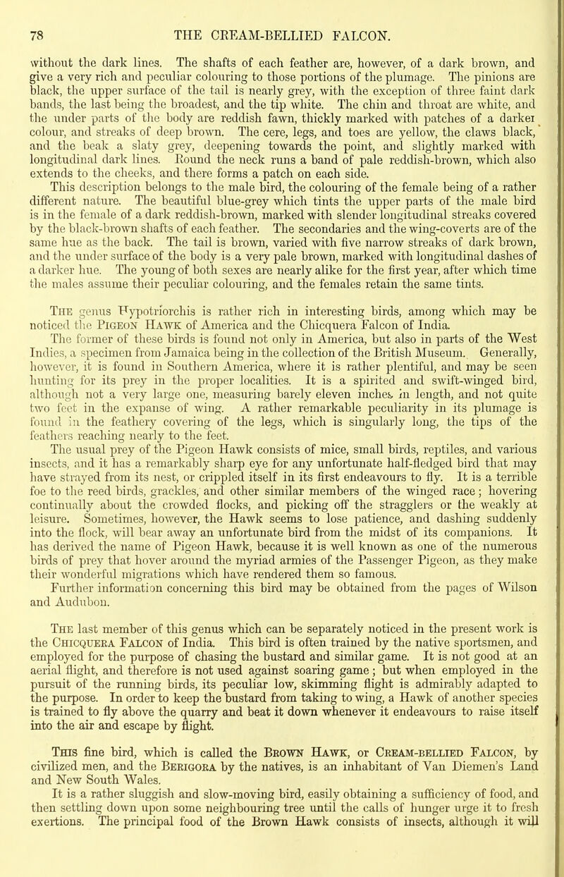 without the dark lines. The shafts of each feather are, however, of a dark brown, and give a very rich and peculiar colouring to those portions of the plumage. The pinions are black, the upper surface of the tail is nearly grey, with the exception of three faint dark bands, the last being the broadest, and the tip white. The chin and throat are white, and the under parts of the body are reddish fawn, thickly marked with patches of a darker _ colour, and streaks of deep brown. The cere, legs, and toes are yellow, the claws black, and the beak a slaty grey, deepening towards the point, and slightly marked with longitudinal dark lines. Round the neck runs a band of pale reddish-brown, which also extends to the cheeks, and there forms a patch on each side. This description belongs to the male bird, the colouring of the female being of a rather different nature. The beautiful blue-grey which tints the upper parts of the male bird is in the female of a dark reddish-brown, marked with slender longitudinal streaks covered by the black-brown shafts of each feather. The secondaries and the wing-coverts are of the same hue as the back. The tail is brown, varied with five narrow streaks of dark brown, and the under surface of the body is a very pale brown, marked with longitudinal dashes of a darker hue. The young of both sexes are nearly alike for the first year, after which time the males assume their peculiar colouring, and the females retain the same tints. The genus Fypotriorchis is rather rich in interesting birds, among which may be noticed the Pigeon Hawk of America and the Chicquera Falcon of India. The former of these birds is found not only in America, but also in parts of the West Indies, a specimen from Jamaica being in the collection of the British Museum. Generally, however, it is found in Southern America, where it is rather plentiful, and may be seen hunting for its prey in the proper localities. It is a spirited and swift-winged bird, although not a very large one, measuring barely eleven inches, in length, and not quite two feet in the expanse of wing. A rather remarkable peculiarity in its plumage is found iu the feathery covering of the legs, which is singularly long, the tips of the feathers reaching nearly to the feet. The usual prey of the Pigeon Hawk consists of mice, small birds, reptiles, and various insects, and it has a remarkably sharp eye for any unfortunate half-fledged bird that may have strayed from its nest, or crippled itself in its first endeavours to fly. It is a terrible foe to the reed birds, gracldes, and other similar members of the winged race; hovering continually about the crowded flocks, and picking off the stragglers or the weakly at leisure. Sometimes, however, the Hawk seems to lose patience, and dashing suddenly into the flock, will bear away an unfortunate bird from the midst of its companions. It has derived the name of Pigeon Hawk, because it is well known as one of the numerous birds of prey that hover around the myriad armies of the Passenger Pigeon, as they make their wonderful migrations which have rendered them so famous. Further information concerning this bird may be obtained from the pages of Wilson and Audubon. The last member of this genus which can be separately noticed in the present work is the Chicquera Falcon of India. This bird is often trained by the native sportsmen, and employed for the purpose of chasing the bustard and similar game. It is not good at an aerial flight, and therefore is not used against soaring game ; but when employed in the pursuit of the running birds, its peculiar low, skimming flight is admirably adapted to the purpose. In order to keep the bustard from taking to wing, a Hawk of another species is trained to fly above the quarry and beat it down whenever it endeavours to raise itself into the air and escape by flight. Tms fine bird, which is called the Beown Hawk, or Ceeam-bellied Falcon, by civilized men, and the Berigoka by the natives, is an inhabitant of Van Diemen's Land and New South Wales. It is a rather sluggish and slow-moving bird, easily obtaining a sufficiency of food, and then settling down upon some neighbouring tree until the calls of hunger urge it to fresh exertions. The principal food of the Brown Hawk consists of insects, although it wijl