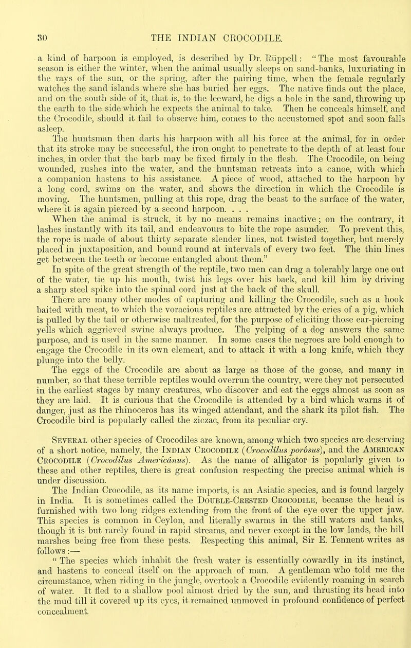 a kind of harpoon is employed, is described by Dr. Eiippell:  The most favourable season is either the winter, when the animal usually sleeps on sand-banks, luxuriating in the rays of the sun, or the spring, after the pairing time, when the female regularly watches the sand islands where she has buried her eggs. The native finds out the place, and on the south side of it, that is, to the leeward, he digs a hole in the sand, throwing up the earth to the side which he expects the animal to take. Then he conceals himself, and the Crocodile, should it fail to observe him, comes to the accustomed spot and soon falls asleep. The huntsman then darts his harpoon with all his force at the animal, for in order that its stroke may be successful, the iron ought to penetrate to the depth of at least four inches, in order that the barb may be fixed firmly in the flesh. The Crocodile, on being wounded, rushes into the water, and the huntsman retreats into a cauoe, with which a companion hastens to his assistance. A piece of wood, attached to the harpoon by a long cord, swims on the water, and shows the direction in which the Crocodile is moving. The huntsmen, pulling at this rope, drag the beast to the surface of the water, where it is again pierced by a second harpoon. . . . When the animal is struck, it by no means remains inactive; on the contrary, it lashes instantly with its tail, and endeavours to bite the rope asunder. To prevent this, the rope is made of about thirty separate slender hues, not twisted together, but merely placed in juxtaposition, and bound round at intervals of every two feet. The thin lines set between the teeth or become entangled about them. In spite of the great strength of the reptile, two men can drag a tolerably large one out of the water, tie up his mouth, twist his legs over his back, and kill him by driving a sharp steel spike into the spinal cord just at the back of the skull. There are many other modes of capturing and killing the Crocodile, such as a hook baited with meat, to which the voracious reptiles are attracted by the cries of a pig, which is pulled by the tail or otherwise maltreated, for the purpose of eliciting those ear-piercing yells which aggrieved swine always produce. The yelping of a dog answers the same purpose, and is used in the same manner. In some cases the negroes are bold enough to engage the Crocodile in its own element, and to attack it with a long knife, which they plunge into the belly. The eggs of the Crocodile are about as large as those of the goose, and many in number, so that these terrible reptiles would overrun the country, were they not persecuted in the earliest stages by many creatures, who discover and eat the eggs almost as soon as they are laid. It is curious that the Crocodile is attended by a bird which warns it of danger, just as the rhinoceros has its winged attendant, and the shark its pilot fish. The Crocodile bird is popularly called the ziczac, from its peculiar cry. Several other species of Crocodiles are known, among which two species are deserving of a short notice, namely, the Indian Ceocodile [Crocodiluspor6sus), and the American Ceocodile [Crocodilus Americdnus). As the name of alligator is popularly given to these and other reptiles, there is great confusion respecting the precise animal which is under discussion. The Indian Crocodile, as its name imports, is an Asiatic species, and is found largely in India. It is sometimes called the Double-Cebsted Crocodile, because the head is furnished with two long ridges extending from the front of the eye over the upper jaw. This species is common in Ceylon, and literally swarms in the still waters and tanks, though it is bu.t rarely found in rapid streams, and never except in the low lands, the hiU marshes being fr-ee from these pests. Eespecting this animal. Sir E. Tennent writes as follows:—  The species which inhabit the fresh water is essentially cowardly in its instinct, and hastens to conceal itself on the approach of man. A gentleman who told me the circumstance, when riding in the jungle, overtook a Crocodile evidently roaming in search of water. It fled to a shallow pool almost dried by the sun, and thrusting its head into the mud till it covered up its eyes, it remained unmoved in profound confidence of perfect concealnient.