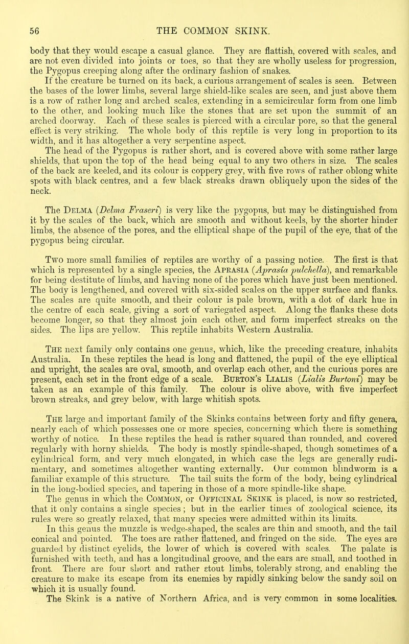 body that ttey would escape a casual glance. They are flattish, covered with scales, and are not even divided into joints or toes, so that they are wholly useless for progression, the Pygopus creeping along after the ordinary fashion of snakes. If the creature be turned on its back, a curious arrangement of scales is seen. Between the bases of the lower limbs, several large shield-like scales are seen, and just above them is a row of rather long and arched scales, extending in a semicircular form from one limb to the other, and looking much like the stones that are set upon the summit of an arched doorway. Each of these scales is pierced with a circular pore, so that the general effect is very striking. The whole body of this reptile is very long in proportion to its width, and it has altogether a very serpentine aspect. The head of the Pygopus is rather short, and is covered above with some rather large shields, that upon the top of the head being equal to any two others in size. The scales of the back are keeled, and its colour is coppery grey, with five rows of rather oblong white spots with black centres, and a few black streaks drawn obliquely upon the sides of the neck. The Delma {Delma Fraseri) is very like the pygopus, but may be distinguished from it by the scales of the back, which are smooth and without keels, by the shorter hinder limlDS, the absence of the pores, and the elliptical shape of the pupil of the eye, that of the pygopus being circular. Two more small families of reptiles are worthy of a passing notice. The first is that which is represented by a single species, the Apeasia (^Aprasia j^ulchelld), and remarkable for being destitute of limbs, and having none of the pores which have just been mentioned. The body is lengthened, and covered with six-sided scales on the upper surface and flanks. The scales are quite smooth, and their colour is pale brown, with a dot of dark hue in the centre of each scale, giving a sort of variegated aspect. Along the flanks these dots become longer, so that they almost join each other, and form imperfect streaks on the sides. The lips are yellow. This reptile inhabits Western Australia. The next family only contains one genus, which, like the preceding creature, inhabits Australia. In these reptiles the head is long and flattened, the pupil of the eye elliptical and upright, the scales are oval, smooth, and overlap each other, and the curious pores are present, each set in the front edge of a scale. Burton's Lialis {Lialis Burtoni) may be taken as an example of this family. The colour is olive above, with five imperfect brown streaks, and grey below, with large whitish spots. The large and important family of the Skinks contains between forty and fifty genera, nearly each of which possesses one or more species, concerning which there is something worthy of notice. In these reptiles the head is rather squared than rounded, and covered regularly with horny shields. The body is mostly spindle-shaped, though sometimes of a cylindrical form, and very much elongated, in which case the legs are generally rudi- mentaiy, and sometimes altogether wanting externally. Our common blindworm is a familiar example of this structure. The tail suits the form of the body, being cylindrical in the iong-bodied species, and tapering in those of a more spindle-like shape. The genus in which the Common, or Officinal Skink is placed, is now so restricted, that it only contains a single species; but in the earlier times of zoological science, its rules were so greatly relaxed, that many species were admitted within its limits. In this genus the muzzle is wedge-shaped, the scales are thin and smooth, and the tail conical and pointed. The toes are rather flattened, and fringed on the side. The eyes are guarded by distinct eyelids, the lower of which is covered with scales. The palate is furnished with teeth, and has a longitudinal groove, and the ears are small, and toothed in front. There are four short and rather stout limbs, tolerably strong, and enabling the creature to make its escape from its enemies by rapidly sinking below the sandy soil on which it is usually found. The Skink is a native of Northern Africa,, and is very common in some localities.