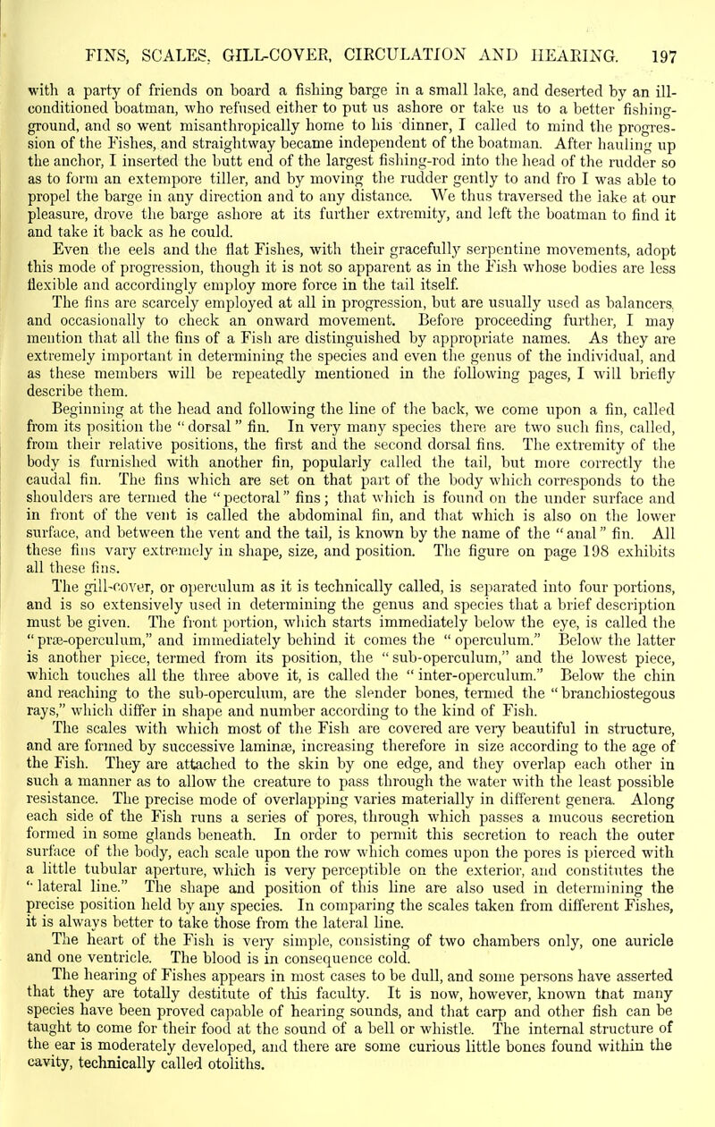 with a party of friends on board a fishing barge in a small lake, and deserted by an ill- conditioned boatman, who refused either to put us ashore or take us to a better fishing- ground, and so went misanthropically home to his dinner, I called to mind the progres- sion of the Fishes, and straightway became independent of the boatman. After hauling up the anchor, I inserted the butt end of the largest fishing-rod into the head of the rudder so as to form an extempore tiller, and by moving the rudder gently to and fro I was able to propel the barge in any direction and to any distance. We thus traversed the lake at our pleasure, drove the barge ashore at its further extremity, and left the boatman to find it and take it back as he could. Even the eels and the flat Fishes, with their gracefully serpentine movements, adopt this mode of progression, though it is not so apparent as in the Fish whose bodies are less flexible and accordingly employ more force in the tail itself The fins are scarcely employed at all in progression, but are usually used as balancers, and occasionally to check an onward movement. Before proceeding further, I may mention that all the fins of a Fish are distinguished by appropriate names. As they are extremely important in determining the species and even the genus of the individual, and as these members will be repeatedly mentioned in the following pages, I will briefly describe them. Beginning at the head and following the line of the back, we come upon a fin, called fi'om its position the  dorsal  fin. In very many species there are two such fins, called, from their relative positions, the first and the second dorsal fins. The extremity of the body is furnished with another fin, popularly called the tail, but more correctly the caudal fin. The fins which are set on that part of the body which corresponds to the shoulders are termed the  pectoral fins; that which is found on the under surface and in front of the vent is called the abdominal fin, and that which is also on the lower surface, and between the vent and the tail, is known by the name of the  anal fin. All these fins vary extremely in shape, size, and position. The figure on page 198 exhibits all these fins. The gill-cover, or operculum as it is technically called, is separated into four portions, and is so extensively used in determining the genus and species that a brief description must be given. The front portion, which starts immediately below the eye, is called the  pr£E-operculum, and immediately behind it comes the  operculum. Below the latter is another piece, termed from its position, the  sub-operculum, and the lowest piece, which touches all the three above it, is called the  inter-operculum. Below the chin and reaching to the sub-operculum, are the slender bones, termed the  branchiostegous rays, which differ in shape and number according to the kind of Fish. The scales with which most of tlie Fish are covered are very beautiful in structure, and are formed by successive laminae, increasing therefore in size according to the age of the Fish. They are attached to the skin by one edge, and they overlap each other in such a manner as to allow the creature to pass through the water with the least possible resistance. The precise mode of overlapping varies materially in different genera. Along each side of the Fish runs a series of pores, through which passes a mucous secretion formed in some glands beneath. In order to permit this secretion to reach the outer surface of the body, each scale upon the row which comes upon the pores is pierced with a little tubular aperture, which is very perceptible on the exterior, and constitutes the '• lateral line. The shape and position of this Line are also used in determining the precise position held by any species. In comparing the scales taken from different Fishes, it is always better to take those from the lateral Line. The heart of the Fish is veiy simple, consisting of two chambers only, one auricle and one ventricle. The blood is in consequence cold. The hearing of Fishes appears in most cases to be dull, and some persons have asserted that they are totally destitute of this faculty. It is now, however, known tHat many species have been proved capable of hearing sounds, and that carp and other fish can be taught to come for their food at the sound of a bell or whistle. The internal structure of the ear is moderately developed, and there are some curious little bones found within the cavity, technically called otoliths.