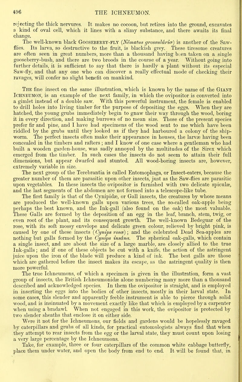 rejecting the thick nervures. It makes no cocoon, but retires into the ground, excavates a kind of oval cell, which it lines with a slimy substance, and there awaits its final change. The well-known black Gooseberey-fly {Nematus grossuldricp) is another of the Saw- flies. Its larva, so destructive to the fruit, is blackish grey. These tiresome creatures are often seen in great numbers, more than a thousand having h'^en taken on a single gooseberry-bush, and there are two broods in the course of a year. Without going into further details, it is suflBcient to say that there is hardly a plant without its especial Saw-fly, and that any one who can discover a really effectual mode of checking their ravages, will confer no slight benefit on mankind. The fine insect on the same illustration, which is known by the name of the Giant Ichneumon, is an example of the next family, in which the ovipositor is converted into a gimlet instead of a double saw. With this powerful instrument, the female is enabled to drill holes into living timber for the purpose of depositing the eggs. When they are hatched, the young grubs immediately begin to gnaw their way through the wood, boring it in every direction, and making burrows of no mean size. Those of the present species prefer fir and pine, and I have had specimens of the wood sent to me which have been riddled by the grubs until they looked as if they had harboured a colony of the ship- worm. The perfect insects often make their appearance in houses, the larvae having been concealed in the timbers and rafters ; and I know of one case where a gentleman who had built a wooden garden-house, was sadly annoyed by the multitudes of the Sirex which emerged from the timber. In such cases the insects do not seem to attain their full dimensions, but appear dwarfed and stunted. All wood-boring insects are, however, extremely variable in size. The next group of the Terebrantia is called Entomophaga, or Insect-eaters, because the greater number of them are parasitic upon other insects, just as the Saw-flies are parasitic upon vegetables. In these insects the ovipositor is furnished with two delicate spicules, and the last segments of the abdomen are not formed into a telescope-like tube. The first family is that of the Cynipidse, or Gall insects, the creatures by whose means are produced the well-known galls upon various trees, the so-called oak-apple being perhaps the best known, and the Ink-gall (also found on the oak) the most valuable. These Galls are formed by the deposition of an egg in the leaf, branch, stem, twig, or even root of the plant, and its consequent growth. The well-known Bedeguar of the rose, with its soft mossy envelope and delicate green colour, relieved by bright pink, is caused by one of these insects (Cynips rosce); and the celebrated Dead Sea-apples are nothing but galls formed by the Cynips insdna. The spherical oak-galls, which contain a single insect, and are about the size of a large marble, are closely allied to the true Ink-galls; and if one of these objects be cut with a knife, the action of the astringent juice upon the iron of the blade will produce a kind of ink. The best galls are those which are gathered before the insect makes its escape, as the astringent quality is then more powerful. The true Ichneumons, of which a specimen is given in the illustration, form a vast group of insects, the British Ichneumonidse alone numbering many more than a thousand described and acknowledged species. In them the ovipositor is straight, and is employed in inserting the eggs into the bodies of other insects, mostly in their larval state. In some cases, this slender and apparently feeble instrument is able to pierce through solid wood, and is insimxated by a movement exactly like that which is employed by a carpenter when using a bradawl. When not engaged in this work, the ovipositor is protected by two slender sheaths that enclose it on either side. Were it not for the Ichneumons, our fields and gardens would be hopelessly ravaged by caterpillars and grubs of all kinds, for practical entomologists always find that when they attempt to rear insects from the egg or the laiwal state, they must count upon losing a very large percentage by the Ichneumons. Take, for example, three or four caterpillars of the common white cabbage butterfly, place them under water, and open the body from end to end. It will be found that, in