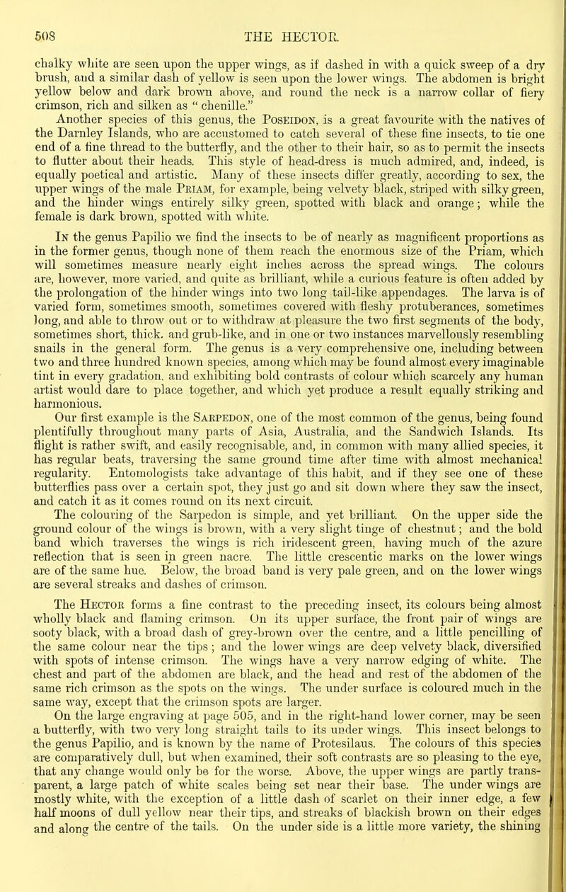 chalky wliite are seen upon the upper wings, as if dashed in with a quick sweep of a dry brush, and a similar dash of yellow is seen upon the lower wings. The abdomen is bright yellow below and dark brown above, and round the neck is a nan'ow collar of fiery crimson, rich and silken as  chenille. Another species of this genus, the Poseidon, is a great favourite with the natives of the Darnley Islands, who are accustomed to catch several of these fine insects, to tie one end of a line thread to the butterfly, and the other to their hair, so as to permit the insects to flutter about their heads. This style of head-dress is much admired, and, indeed, is equally poetical and artistic. Many of these insects dift'er greatly, according to sex, the upper wings of the male Priam, for example, being velvety black, striped with silky green, and the hinder wings entirely silicy green, spotted with black and orange; while the female is dark brown, spotted with wliite. In the genus Papilio we find the insects to be of nearly as magnificent proportions as in the former genus, though none of them reach the enormous size of the Priam, which will sometimes measure nearly eight inches across the spread wings. The colours are, however, more varied, and quite as brilliant, while a curious feature is often added by the prolongation of the hinder wings into two long tai]-like appendages. The larva is of varied form, sometimes smooth, sometimes covered with fleshy protuberances, sometimes long, and able to throw out or to withdraw at pleasure the two first segments of the body, sometimes short, thick, and grub-like, and in one or two instances marvellously resembling- snails in the general form. The genus is a very comprehensive one, including between two and three hundred known species, among which may be found almost every imaginable tint in every gradation, and exhibiting bold contrasts of colour which scarcely any human artist would dare to place together, and which yet produce a result equally striking and harmonious. Our first example is the Sarpedon, one of the most common of the genus, being found plentifully throughout many parts of Asia, Australia, and the Sandwich Islands. Its flight is rather swift, and easily recognisable, and, in common with many allied species, it has regular beats, traversing the same ground time after time with almost mechanical regularity. Entomologists take advantage of this habit, and if they see one of these butterflies pass over a certain spot, they just go and sit down where they saw the insect, and catch it as it comes round on its next circuit. The colouring of the Sarpedon is simple, and yet brilliant. On the upper side the ground colour of the wings is brown, with a very slight tinge of chestnut; and the bold band which traverses the wings is rich iridescent green, having much of the azure reflection that is seen in green nacre. The little crescentic marks on the lower wings are of the same hue. Below, the broad band is very pale green, and on the lower wings are several streaks and dashes of crimson. The Hector forms a fine contrast to the preceding insect, its colours being almost wholly black and flaming crimson. On its upper surface, the front pair of wings are sooty black, with a broad dash of grey-brown over the centre, and a little pencilling of the same colour near the tips; and the lower wings are deep velvety black, diversified with spots of intense crimson. The wings have a very narrow edging of white. The chest and part of the abdomen are black, and the head and rest of the abdomen of the same rich crimson as the spots on the wings. The under surface is coloured much in the same way, except that the crimson spots are larger. On the large engraving at page 505, and in the right-hand lower corner, may be seen a butterfly, with two very long straight tails to its under wings. This insect belongs to the genus Papilio, and is known by the name of Protesilaus. The colours of this species are comparatively dull, but when examined, their soft contrasts are so pleasing to the eye, that any change would only be for the worse. Above, the upper wings are partly trans- parent, a large patch of white scales being set near their base. The under wings are mostly white, with the exception of a little dash of scarlet on their inner edge, a few half moons of dull yellow near their tips, and streaks of blackish brown on their edges and along the centre of the tails. On the under side is a little more variety, the shining