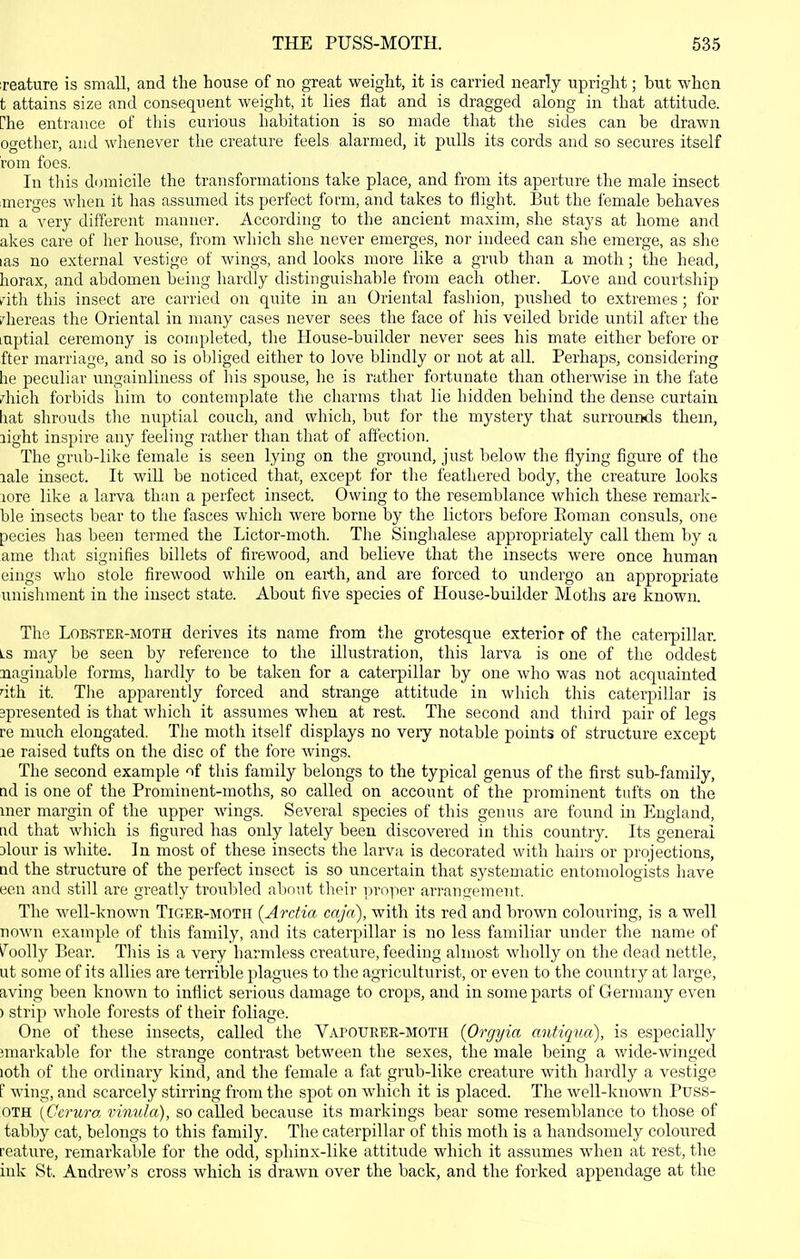 ;reature is small, and the house of no great weight, it is carried nearly upright; but when t attains size and consequent weight, it lies flat and is dragged along in that attitude, rhe entrance of this curious habitation is so made that the sides can be drawn ogether, and whenever the creature feels alarmed, it pulls its cords and so secures itself rom foes. In this domicile the transformations take place, and from its aperture the male insect merges when it has assumed its perfect fomi, and takes to flight. But the female behaves n a very different manner. According to the ancient maxim, she stays at home and akes care of her house, from which she never emerges, nor indeed can she emerge, as she las no external vestige of wings, and looks more like a grub than a moth; the head, horax, and abdomen being hardly distinguishable from each other. Love and courtship k'ith tins insect are carried on quite in an Oriental fashion, piished to extremes; for ?hereas the Oriental in many cases never sees the face of his veiled bride until after the luptial ceremony is completed, the House-builder never sees his mate either before or fter marriage, and so is oljliged either to love blindly or not at all. Perhaps, considering he peculiar ungainliness of his spouse, lie is rather fortunate than otherwise in the fate diich forbids him to contemplate the charms that lie hidden behind the dense curtain liat shrouds the nuptial couch, and which, but for the mystery that surrounds them, light inspire any feeling rather than that of affection. The grub-like female is seen lying on the ground, just below the flying figure of the lale insect. It wiU be noticed that, except for the feathered body, the creature looks lore like a larva than a perfect insect. Owing to the resemblance which these remark- ble insects bear to the fasces which were borne by the lictors before Eoman consuls, one pecies has been termed the Lictor-moth. Tlie Singhalese appropriately call them by a ame that signifies billets of firewood, and believe that the insects were once human eings who stole firewood while on earth, and are forced to undergo an appropriate unishment in the insect state. About five species of House-builder Moths are known. The Lobster-moth derives its name from the grotesque exterior of the caterpillar. Ls may be seen by reference to the illustration, this larva is one of the oddest naginable forms, hardly to be taken for a caterpillar by one who was not acquainted dth it. The apparently forced and strange attitude in which this caterpillar is 3presented is that which it assumes when at rest. The second and third pair of legs re much elongated. The moth itself displays no very notable points of structure except le raised tufts on the disc of the fore wings. The second example nf this family belongs to the typical genus of the first sub-family, ad is one of the Prominent-moths, so called on account of the prominent tufts on the uier margin of the upper wings. Several species of this genus are found in England, ad that which is figured has only lately been discovered in this country. Its general Dlour is white. In most of these insects the larva is decorated with hairs or projections, ad the structure of the perfect insect is so uncertain that systematic entomologists have ecu and still are greatly troixbled about their proper arrangement. The well-known Tiger-moth (Arctia caj'a), with its red and brown colouring, is a well nown example of this family, and its caterpillar is no less familiar under the name of Coolly Bear. This is a very harmless creature, feeding almost wholly on the dead nettle, ut some of its allies are terrible plagues to the agriculturist, or even to the country at large, aving been known to inflict serious damage to crops, and in some parts of Germany even ) strip whole forests of their foliage. One of these insects, called the Vapourer-moth {Orgyia antiqua), is especially iniarkable for the strange contrast between the sexes, the male being a wide-winged loth of the ordinary kind, and the female a fat grub-like creature with hardly a vestige F wing, and scarcely stirring from the spot on which it is placed. The well-known Puss- OTH {Gcruro, vinula), so called because its markings bear some resemblance to those of tabby cat, belongs to this family. The caterpillar of this moth is a handsomely coloured feature, remarkable for the odd, sphinx-like attitude which it assumes when at rest, the ink St. Andrew's cross which is drawn over the back, and the forked appendage at the