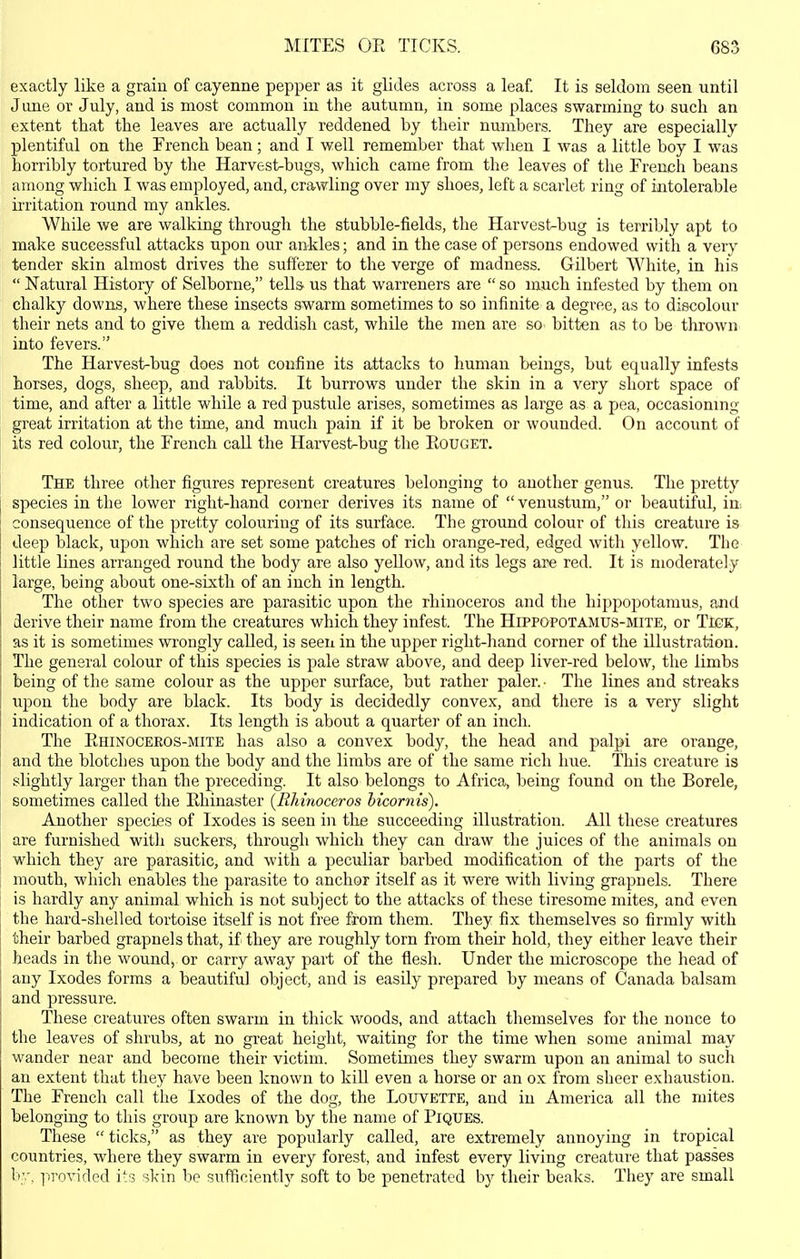 exactly like a grain of cayenne pepper as it glides across a leaf. It is seldom seen until June or July, and is most common in the autumn, in some places swarming to such an extent that the leaves are actually reddened by their numbers. They are especially plentiful on the French bean; and I well remember that when I was a little boy I was horribly tortured by the Harvest-bugs, which came from the leaves of the French beans among which I was employed, and, crawling over my shoes, left a scarlet ring of intolerable irritation round my ankles. While we are walking through the stubble-fields, the Harvest-bug is terribly apt to make successful attacks upon our ankles; and in the case of persons endowed with a very tender skin almost drives the sufferer to the verge of madness. Gilbert White, in his  Natural History of Selborne, tells us that warreners are  so much infested by them on chalky downs, where these insects swarm sometimes to so infinite a degree, as to discolour their nets and to give them a reddish cast, while the men are so bitten as to be thrown into fevers. The Harvest-bug does not confine its attacks to human beings, but equally infests horses, dogs, sheep, and rabbits. It burrows under the skin in a very short space of time, and after a little while a red pustule arises, sometimes as large as a pea, occasionmg great irritation at the time, and much pain if it be broken or wounded. On account of its red colour, the French call the Harvest-bug the Eouget. The three other figures represent creatures belonging to another genus. The pretty species in the lower right-hand corner derives its name of  venustum, or beautiful, in, consequence of the pretty colouring of its surface. The ground colour of this creature is deep black, upon which are set some patches of rich orange-red, edged with yellow. The little lines arranged round the body are also yellow, and its legs are red. It is moderately large, being about one-sixth of an inch in length. The other two species are parasitic upon the rhinoceros and the hippopotamus, and derive their name from the creatures which they infest. The Hippopotamus-mite, or Tigk, as it is sometimes wrongly called, is seen in the upper right-hand corner of the illustration. The general colour of this species is pale straw above, and deep liver-red below, the limbs being of the same colour as the upper surface, but rather paler. • The lines and streaks upon the body are black. Its body is decidedly convex, and there is a very slight indication of a thorax. Its length is about a quarter of an inch. The Ehinoceeos-mite has also a convex body, the head and palpi are orange, and the blotches upon the body and the limbs are of the same rich hue. This creature is slightly larger than tbe preceding. It also belongs to Africa, being found on the Borele, sometimes called the Ehinaster {Rhinoceros hicornis). Another species of Ixodes is seen in the succeeding illustration. All these creatures are furnished witli suckers, through which they can draw the juices of the animals on which they are parasitic, and with a peculiar barbed modification of the parts of the mouth, which enables the parasite to anchor itself as it were with living grapnels. There is hardly any animal which is not subject to the attacks of these tiresome mites, and even the hard-shelled tortoise itself is not free from them. They fix themselves so firmly with their barbed grapnels that, if they are roughly torn from their hold, they either leave their heads in the woundj or carry away part of the flesh. Under the microscope the head of any Ixodes forms a beautiful object, and is easily prepared by means of Canada balsam and pressure. These creatures often swarm in thick woods, and attach themselves for the nonce to the leaves of shrubs, at no great height, waiting for the time when some animal may wander near and become their victim. Sometimes they swarm upon an animal to such an extent that they have been known to kill even a horse or an ox from sheer exhaustion. The French call the Ixodes of the dog, the Lotjvette, and in America all the mites belonging to this group are known by the name of PiQUES. These  ticks, as they are popularly called, are extremely annoying in tropical countries, where they swarm in every forest, and infest every living creature that passes li, i-irovided its skin be sufficiently soft to be penetrated by their beaks. They are small