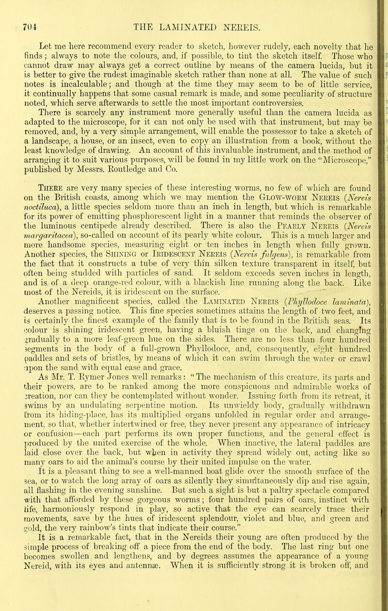 Let me here recommend every reader to sketcli, however rudely, each novelty that he finds ; always to note tlie colours, and, if possible, to tint the sketch itself. Those who cannot draw may always get a correct outline by means of the camera lucida, but it is better to give the rudest imaginable sketch rather than none at all. The value of such notes is incalculable; and though at the time they may seem to be of little service, it continually happens that some casual remark is made, and some peculiarity of structure noted, which serve afterwards to settle the most important controversies. There is scarcely any instrument more generally useful than the camera lucida as adapted to the microscope, for it can not only be used with that instrument, but may be removed, and, by a very simple arrangement, will enable the possessor to take a sketch of a landscape, a house, or an insect, even to copy an illustration from a book, without the least knowledge of drawing. An account of this invaluable instrument, and the method of arranging it to suit various purposes, will be found in my little work on the Microscope, published by Messrs. Eoutledge and Co. There are very many species of these interesting worms, no few of which are found on the British coasts, among which we may mention the Glow-worm Nereis {Nereis noctiluca), a little species seldom more than an inch in length, but which is remarkable for its power of emitting phosphorescent light in a manner that reminds the observer of the luminous centipede already described. There is also the Pearly Nereis {Nereis margaritacea), so-called on account of its pearly white colour. This is a much larger and more handsome species, measuring eight or ten inches in length when fully grown. Another species, the Shining or Iridescent Nereis {Nereis fulgens), is remarkable from the fact that it constructs a tube of very thin silken texture transparent in itself, but often being studded with particles of sand. It seldom exceeds seven inches in length, and is of a deep orange-ied colour, with a blackish line running along the back. Like most of the Nereids, it is iridescent on the surface. Another magnificent species, called the Laminated Nereis {Phyllodoce laminata), deserves a passing notice. This fine species sometimes attains the length of two feet, and is certainly the finest example of the family that is to be found in the British seas. Its colour is shining iridescent green, having a bluish tinge on the back, and changing gradually to a more leaf-green hue on the sides. There are no less than four hundred segments in the body of a full-grown Phyllodoce, and, consequently, eight ■ hundred paddles and sets of bristles, by means of which it can swim through the water or crawl :ipon the sand with equal ease and grace. As Mr. T. Rymer Jones well remarks:  The mechanism of this creature, its parts and hheir powers, are to be ranked among the more conspicuous and admirable works of creation, nor can they be contemplated without wonder. Issuing forth from its retreat, it swims by an undulating serpentine motion. Its unwieldy body, gradually withdrawn from its hiding-place, has its multiplied organs unfolded in regular order and arrange- ment, so that, whether intertwined or free, they never present any appearance of intricacy or confusion—each part performs its own proper functions, and the general effect is produced by the united exercise of the whole. When inactive, the lateral paddles are laid close over the back, but when in activity they spread widely out, acting lilie so many oars to aid the animal's course by their united impulse on the Avater. It is a pleasant thing to see a well-manned boat glide over the smooth surface of the sea, or to watch the long array of oars as silently they sinndtaneously dip and rise again, all flashing in the evening sunshine. But such a sight is but a paltry spectacle compared with that afforded by these gorgeous worms; four hundred pairs of oars, instinct with life, harmoniously respond in play, so active that the eye can scarcely trace their movements, save by the hues of iridescent splendour, violet and blue, and green and gold, the very rainbow's tints that indicate their course. It is a remarkable fact, that in the Nereids their young are often produced by the simple process of breaking off a piece from the end of the body. The last ring but one becomes swollen and lengthens, and by degrees assumes the appearance of a young Nereid, with its eyes and antennae. When it is sufficiently strong it is broken off, and