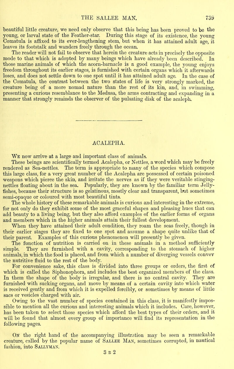 beautiful little creature, we need only observe that this being has been proved to be the young, or larval state of the Eeather-star. During this stage of its existence, the young Comatula is affixed to its ever-lengthening stem, but when it has attained adult age, it leaves its footstalk and wanders freely through the ocean. The reader will not fail to observe that herein the creature acts in precisely the opposite mode to that which is adopted by many beings which have already been described. In those marine animals of which the acorn-barnacle is a good example, the young enjoys freedom throughout its earlier stages, is furnished with certain organs which it afterwards loses, and does not settle down to one spot until it has attained adult age. In the case of the Comatula, the contrast between the two states of life is very strongly marked, the creature being of a more nomad nature than the rest of its kin, and, in swimming, presenting a curious resemblance to the Medusa, the arms contracting and expanding in a manner that strongly reminds the observer of the pulsating disk of the acaleph. ACALEPHA. We now arrive at a large and important class of animals. These beings are scientifieally termed Acalepha, or Nettles, a word which may be freely rendered as Sea-nettles. The term is appropriate to many of the species which compose this large class, for a very great number of the Acalepha are possessed of certain poisoned weapons which pierce the skin, and irritate the nerves as if they were veritable stinging- nettles floating about in the sea. Popularly, they are known by the familiar term Jelly- fishes, because their structure is so gelatinous, mostly clear and transparent, but sometimes semi-opaque or coloured with most beautiful tints. The whole history of these remarkable animals is curious and interesting in the extreme, for not only do they exhibit some of the most graceful shapes and pleasing hues that can add beauty to a living being, but they also afford examples of the earlier forms of organs and members which in the higher animals attain their fullest development. When they have attained their adult condition, they roam the seas freely, though in their earlier stages they are fixed to one spot and assume a shape quite unlike that of their parent. Examples of this curious phenomenon will presently be given. The function of nutrition is carried on in these animals in a method sufficiently simple. They are furnished with a cavity, corresponding to the stomach of higher animals, in which the food is placed, and from which a number of diverging vessels convev the nutritive fluid to the rest of the body. For convenience sake, this class is divided into three groups or orders, the first of which is called the Siphonophora, and includes the best organized members of the class. In them the shape of the body is irregular, and there is no central cavity. They are furnished with sucking organs, and move by means of a certain cavity into which water is received gently and from which it is expelled forcibly, or sometimes by means of little sacs or vesicles charged with air. Owing to the vast number of species contained in this class, it is manifestly impos- sible to mention all the curious and interesting animals which it includes. Care, however, has been taken to select those species which afford the best types of their orders, and it wHl be found that almost every group of importance will find its representation in the following pages. On the right hand of the accompanying illustration may be seen a remarkable creature, called by the popular name of Sallee Man, sometimes corrupted, in nautical fashion, into Sallyman.