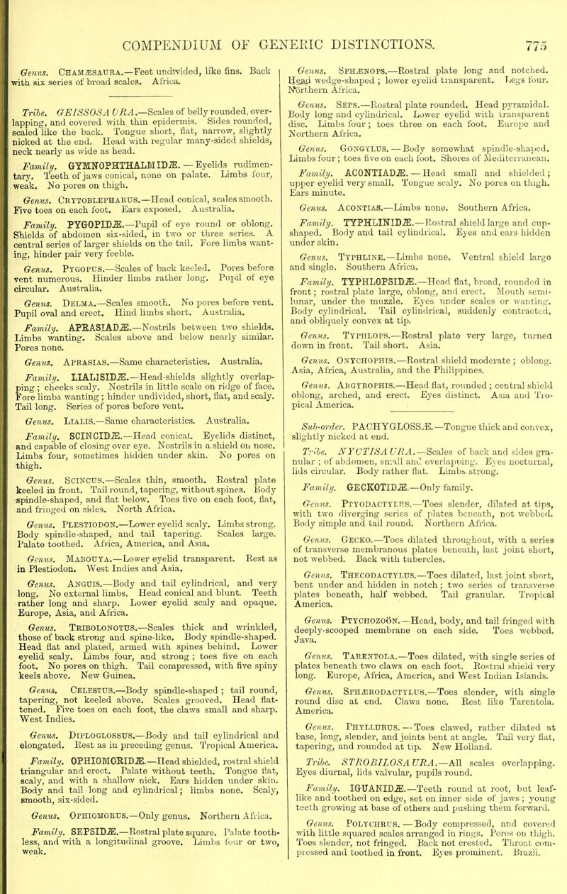 Gemis. Cham,esaura.—Feet undivided, lite fins. Back with six series of broad scales. Africa. Tribe. GEISSOSA URA .—Scales of belly rounded, over- J lapping, and covered with thin epidermis. Sides rounded, scaled like the back. Tongue short, flat, narrow, slightly nicked at the end. Head with regular many-sided shields, neck nearly as wide as head. Family. GYMNOPHTHALMIDiE. — Eyelids rudimen- tary. Teeth of jaws conical, none on palate. Limbs ibur, weak. No pores on thigh. OenuB. Crytoblepharus.—Head conical, scales smooth. Five toes on each foot. Ears exposed. Australia. Family. PYGOPIDiS.—Pupil of eye round or oblong. Shields of abdomen six-sided, in two or three series. A central series of larger shields on the tail. Fore limbs want- ing, hinder pair very feeble. Genus. Ptgopus.—Scales of back keeled. Pores before rent numerous. Hinder limbs rather long. Pui)il of eye circular. Australia. Genv^. Delma.—Scales smooth. No poi-es before vent. Pupil oval and erect. Hind limbs short. Australia. Family. APEASIAD.a;.—NostrUs between two shields. Limbs wanting. Scales above and below nearly simUar. Pores none. Geiuis. Aprasias.—Same characteristics. Australia. Family. IIALISID.®.—Head-shields slightly overlap- ping ; cheeks scaly. Nostrils in little scale on ridge of face. Fore limbs wanting ; hinder undivided, short, flat, and scaly. Tail long. Series of pores before vent. Geniis. LlALIS.—Same characteristics. Australia. Family. SCINCID^.—Head conical. Eyelids distinct, and capable of closing over eye. Nostrils in a shield on nose. Limbs four, sometimes hidden under skin. No pores on thigh. Genus. SciNCUS.—Scales thin, smooth. Rostral plate keeled in front. Tail round, tapering, without spines. Body spindle-shaped, and flat below. Toes five on each foot, flat, and fringed on sides. North Africa. Genvs. Plestiodon.—Lower eyelid scaly. Limbs strong. Body spindle shaped, and tail tapering. Scales large. Palate toothed. Africa, America, and Asia. Genus. Mabouta.—Lower eyeHd transparent. Rest as in Plestiodon. West Indies and Asia. Genus. Anguis.—Body and tail cylindrical, and very long. No external limbs. Head conical and blunt. Teeth rather long and sharp. Ijower eyelid scaly and opaque. Europe, Asia, and Africa. Genus. Tribolonotus.—Scales thick and wrinkled, those of back strong and spine-like. Body spindle-shaped. Head flat and plated, armed with spines behind. Lower eyelid scaly. Limbs four, and strong ; toes five on each foot. No pores on thigh. Tail compressed, with five spiny keels above. New Guinea. Genus, Celestus.—Body spindle-shaped ; tail round, tapering, not keeled above. Scales grooved. Head flat- tened. Five toes on each foot, the claws small and sharp. West Indies. Genus. Diploglossus.—Body and tail cylindrical and elongated. Rest as in preceding genus. Tropical America. Family. OPHIOMOIlID.a;.—Head shielded, rostral shield triangular and erect. Palate without teeth. Tongue Hat, scaly, and with a shallow nick. Ears hidden under skin. Body and tail long and cylindrical; limbs none. Scaly, smooth, six-sided. Genus. Ophiomoeus.—Only genus. Northern Africa. Family. SEPSID.ffi.—Rostral plate square. Palate tooth- less, and with a longitudinal groove. Limbs four or two, weak. Genus. SPHiENOPS.—Rostral plate long and notched. Head wedge-shaped ; lower eyelid transpai-ent. Legs four. Northern Africa. Genus. Seps.—Rostral plate rounded. Head pyramidal. Body long and cyhndrical. Lower eyelid with transparent disc. Limbs four; toes three on each foot. Europe and Northern Africa. Genus. Gongylds.—Body somewhat spindle-shaped. Limbs four; toes five on each foot. Shores of Mediterranean. Family. ACONTIADjE. — Head small and shielded; upper eyelid very small. Tongue scaly. No pores on thigh. Ears minute. Genus. Acontias.—Limbs none. Southera Africa. Fam ily. TYPHLINID.ffi.—Rostral shield large and cup- shaped. Body and tail cylindrical. Eyes and ears hidden under skin. Genus. TypHLINE.—Limbs none. Ventral shield large and single. Southern Africa. Family. TYPHLOPSID.S;.—Head flat, broad, rounded in front; rostral plate large, oblong, and ei'ect. Mouth semi- lunar, under the muzzle. Eyes under scales or wanting. Body cylindrical. Tail cylindrical, suddenly contracted, and obliquely convex at tip. Genus. Typhlops.—Rostral plate vei-y large, turnea down in front. Tail short. Asia. Oenus. Ontchophis.—Rostral shield moderate ; oblong. Asia, Africa, Australia, and the Philippines. Genus. Akgyrophis.—Head flat, rounded; central shield oblong, arched, and erect. Eyes distinct. Asia and Tro- pical America. Suh-order. PACH YGLOSS^. —Tongue thick and convex, slightly nicked at end. Tribe. NYCTISA JJ/i',-!.—Scales of back and sides gra- nular ; of abdomen, small and overlapoing. Eyes nocturnal, lids circular. Body rather flat. Limbs strong. Family. GECKOTID.ffi;.—Only family. Genus. Ptyodactyltis.—Toes slender, dilated at tips, with two diverging series of plates beneath, not webbtd. Body simple and tail round. Northern Africa. Genvs. Gecko.—Toes dilated throughout, with a series of transverse membranous plates beneath, last joint short, not webbed. Back with tubei'cles. Genus. Thecodactyi-US.-—Toes dilated, last joint short, bent under and hidden in notch ; two series of transverse plates beneath, half webbed. Tail granular. Tropical America. Genus. PtychozoSn.—Head, body, and tail fringed with deeply-scooped membrane on each side. Toes webbed. Java. Genus. Taeentola.—Toes dilated, with single series of plates beneath two claws on each foot. Rostral shield very long. Europe, Africa, America, and West Indian Islands. Genus. SPHiBRODACTYLUS.—Toes slender, with single round disc at end. Claws none. Rest like Tarentola. America. Genus. PhylldRUS.—Toes clawed, rather dilated at base, long, slender, and joints bent at angle. Tail very flat, tapering, and rounded at tip. New Holland. Tribe. STROlilLOSAURA.—KW scales overiapping. Eyes diurnal, lids valvular, pupils round. Family. IGUANID.a;.—Teeth round at root, bat leaf- like and toothed on edge, set on inner side of jaws ; young teeth growing at base of others and pushing them forv/ard. Genus. Polychrus.—Body compressed, and covered with little squared scales arranged in rings. Pores on thigh. Toes slender, not fringed. Back not crested. Throat com- pi essed and toothed in front. Eyes prominent. Brazil.