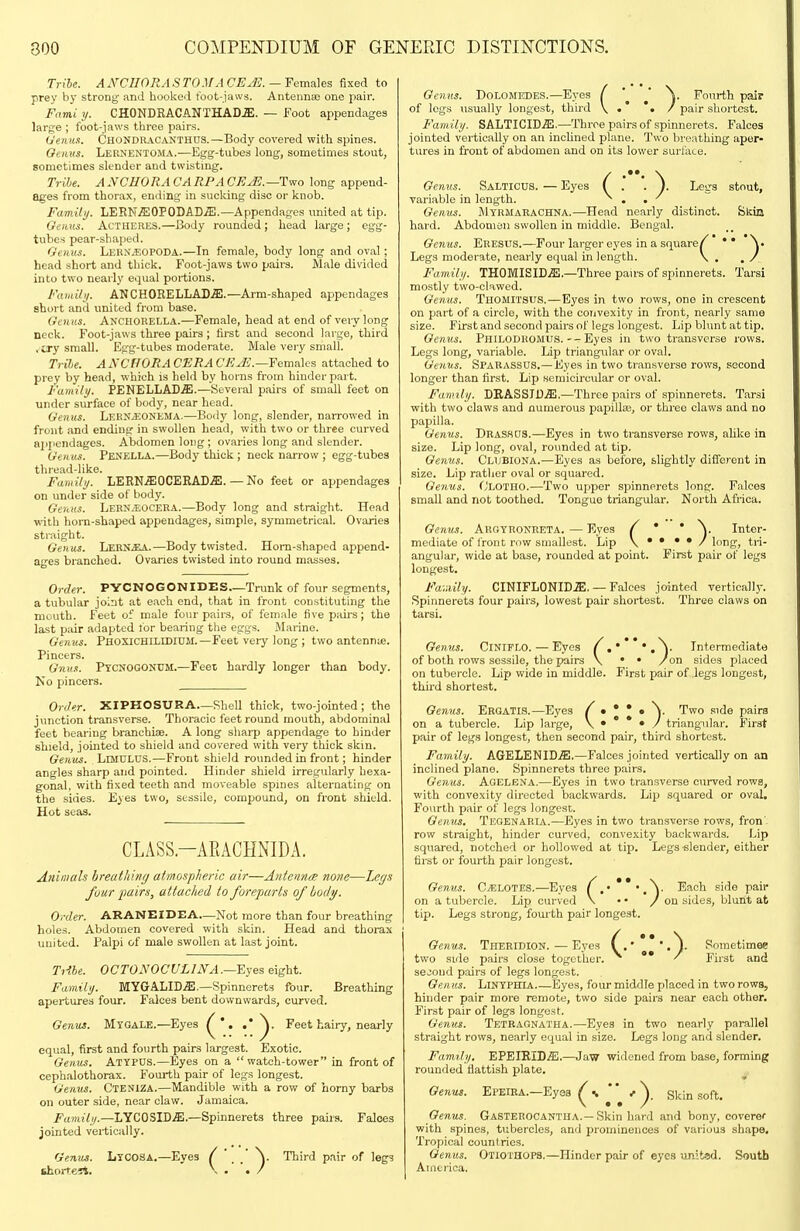Tribe. A NCIIORA S TO ilA CEJl. — Females fixed to prey by strong and hooked foot-jaws. Antennae one pair. Fami y. CHONDEACANTHAD.a;. — Foot appendages large ; foot-jaws three pairs. Oenii.i. ChoNDRAcanthus.—Body covered with spines. Oeinis. Lernentoma.-—Egg-tubes long, sometimes stout, sometimes slender and twistmg. Tribe. A NCUO RACARPA CR^. —Two long append- ages from thorax, ending in sucking disc or knob. Family. LERN.ffiOPODADiE.—Appendages united at tip. Oetius. AcTHERES.—Body rounded ; head large ; egg- tubes pear-shaped. Oeniis. Lern^eopoda.—In female, body long and oval; head short and thick. Foot-jaws two pairs. Male divided into two nearly equal portions. Family. ANCHORELLAD.ffi.—Ai-m-shaped appendages short and united from base. Oen us. Anchorella.—Female, head at end of very long neck. Foot-jaws three pairs ; first and second large, third . cry small. Egg-tubes moderate. Male very small. Tribe. A NCtfORA CERA C/?^.—Females attached to prey by head, which is held by horns from hinder part. Family. PENELLAD^.—Several pairs of small feet on under surface of body, near head. Genus. LerNjEONEMA.—Body long, slender, narrowed in front and ending in swollen head, with two or three curved ajipendages. Abdomen long; ovaries long and slender. Gen us. Penella.—Body thick; Beck narrow ; egg-tubes thread-like. Family. LERN.aiOCERAD.ffi. — No feet or appendages on under side of body. Genus. Lern.eocera.—Body long and straight. Head with horn-shaped appendages, simple, symmetrical. Ovaries straight. Genus. LERN.aiA.—Body twisted. Horn-shaped append- ages branched. Ovaries twisted into round masses. Order. PYCNOGONIDES—Trunk of four segments, a tubular joint at each end, that in front constituting the mouth. Feet of male four pairs, of female five pairs; the last pair adapted lor bearing the eggs. Marine. Genus. Phoxichelidium.—Feet veiy long ; two antennie. Pincers. Gnu.i. PtcNOGONTIM.—Feet hardly longer than body. No pincers. Order. XIPHOSURA—Shell thick, two-jointed; the junction transverse. Thoracic feet round mouth, abdominal feet bearing branchiae. A long sharp appendage to hinder shield, jointed to shield and covered with very thick skin. Genus. LniDLUS.—Front shield rounded in front; hinder angles sharp and pointed. Hinder shield irregularly hexa- gonal, with fixed teeth and moveable spines alternating on the sides. Eyes two, sessile, compound, on front shield. Hot seas, CLASS.-AEACHNIDA. Animals breai/iitir/ atmospheric air—Antcina; none—Legs fuur pairs, attached to foreparts of body. Order. ARANEIDEA—Not more than four breathing holes. Abdomen covered with skin. Head and thorax united. Palpi of male swollen at last joint. THle. OCTONOCULlNA.—'S.yes eight. Family. MyGALID.ffi.—Spinnerets four. Breathing apertures four. Falces bent downwards, curved. Genus. Mtgale.—Eyes •* Feet haii-y, nearly equal, first and fourth pairs largest. Exotic. Genus. Atypds.—Eyes on a watch-tower in front of cephalothorax. Fourth pair of legs longest. Genus. Cteniza.—Mandible with a row of horny barbs on outer side, near claw. Jamaica. Family.—LYCOSID.ffi.—Spinnerets three pairs. Faloes jointed vertically. fJemis. LycOSA.—Eyes ( . . )■ Third p.air of legs Genus. Dolomedes.—Eyes / ^' y Fourth pair of legs usually longest, third V *• / pair shortest. Family. SALTICID.ffi.—Throe pairs of spinnerets. Falces jointed vertically on an inclined plane. Two breathing aper- tures in front of abdomen and on its lower surface. Genus. Salticus. — Eyes ( . .J. Legs stout, variable in length. ^ , . ^ Genus. Mtrmarachna.—Head nearly distinct. Skia hard. Abdomen swollen in middle. Bengal. Genus. Eresus.—Four larger eyes in a square/ ** \. Legs moderate, nearly equal in length. \ . . / Family. THOMISID.ffi.—Three pairs of spinnerets. Tarsi mostly two-clawed. Genus. Thomitsus.—Eyes in two rows, one in crescent on part of a circle, with the convexity in front, nearly same size. First and second pairs of legs longest. Lip blunt at tip. Genus. Philoduomus.Eyes in two transverse rows. Legs long, variable. Lip triangular or oval. Genus. SpaRassds.—Eyes in two transverse rows, second longer than first. Lip soniicircular or oval. Family. D'RA.SSJDM.—Three pairs of spinnerets. Tarsi with two claws and numerous papilla;, or three claws and no papilla. Genus. Drashos.—Eyes in two transverse rows, alike in size. Lip long, oval, rounded at tip. Genus. Clubiona.—Eyes as before, slightly different in size. Lip ratlier oval or squared. Genus. Clotho.—Two upper spinnerets long. Falces small and not toothed. Tongue triangular. North Africa. Oenus. Aroyronreta. — Eyes / * * ). Inter- mediate of front row smallest. Lip \ • • • • / long, tri- angular, wide at base, rounded at point. First pair of legs longest. Fa::iily. CINIFLONID.a;. — Falces jointed vertically. .Spinnerets four pairs, lowest pair shortest. Three claws on tarsi. Oenus. CiNlFLO. — Eyes (,***•.). Intermediate of both rows sessile, the pairs \ • • /on sides placed on tubercle. Lip wide in middle. First pair of legs longest, third shortest. Oenus. Ergatis.—Eyes / • * * • \ Two side pairs on a tubercle. Lip large, \ • * * • / triangular. First pair of legs longest, then second pair, third shortest. Family. AGELENID.ffi.—Faloes jointed vertically on an inclined plane. Spinnerets three pairs. Genus. Aoelena.—Eyes in two transverse curved rows, with convexity directed backwards. Lip squared or oval. Fourth pair of legs longest. Gemis. Tegenaria.—Eyes in two transverse rows, fron'- row straight, hinder curved, convexity backwards. Lip squared, notched or hollowed at tip. Legs slender, either first or fourth pair longest. Genus. C^LOTES.—Eyes (.•***. \ Bach side pair on a tubercle. Lip curved \ • ■ /on sides, blunt at tip. Legs strong, fourth pair longest. Genus. Theridion.—Eyes '')• Sometimee two side pairs close together. '* ' First and second pairs of legs longest. Oenus. LlNYFHIA Eyes, four middle placed in two rows, hinder pair more remote, two side pairs near each other. First pair of legs longest. Genus. Tetragnatha.—Eyes in two nearly parallel straight rows, nearly equal in size. Legs long and slender. Family. EPEIRID^.—Jaw widened from base, forming rounded flattish plate. Oenus. El'ElEA.—Eyes ^ %  / ^_ g^jn ^^^t. Oenus. Gasterocantua.—Skin hard and bony, coverer with spines, tubercles, and prominences of various shape. Tropical countries. Oenus. Otiothops.—Hinder pair of eyes unitad. South America.