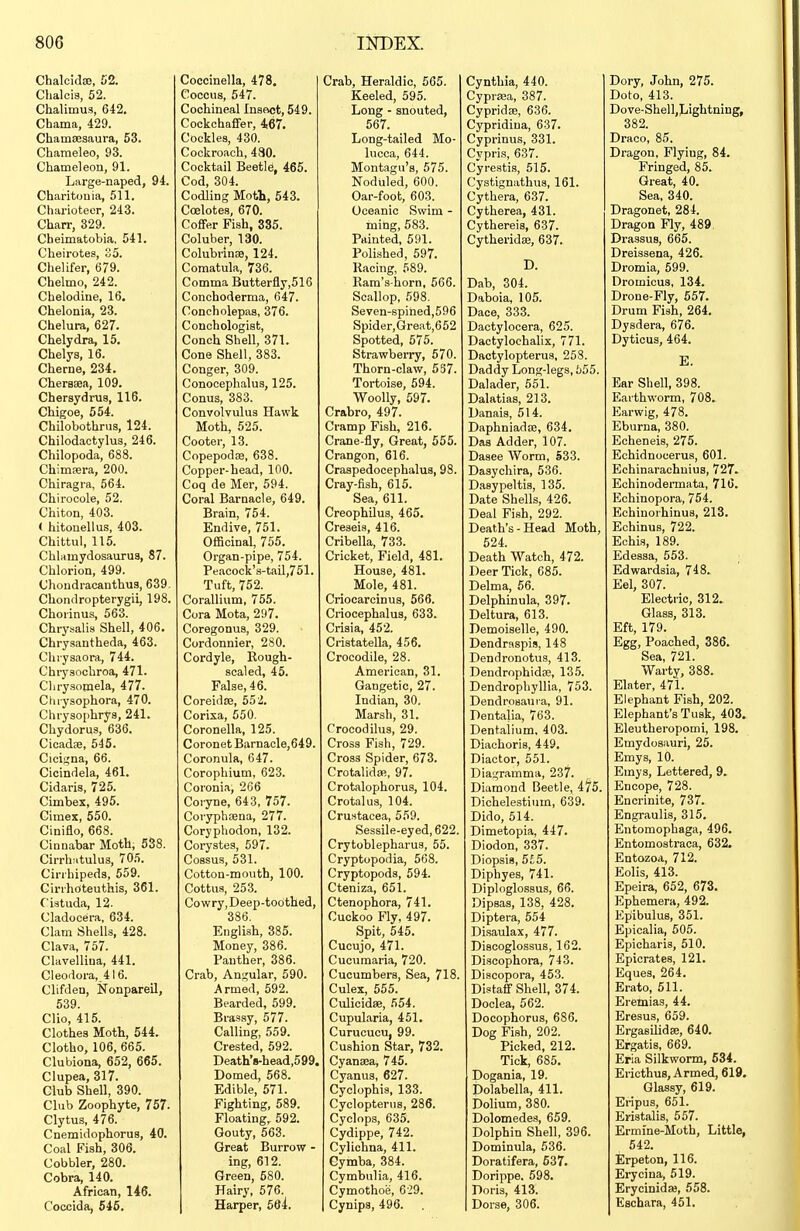 Chalciflse, 52. Chaloia, 52. Chalimus, 642. Chama, 429. Chamajsaura, 53. Chameleo, 93. Chameleon, 91. Large-naped, 94. Chariton ia, 511. Charioteer, 243. Charr, 329. Cbeimatobia. 541. Cheirotes, 35. Chelifer, 679. Chelmo, 242. Chelodine, 16. Chelonia, 23. Chelura, 627. Chelydra, 15. Chelys, 16. Cherne, 234. Chersaea, 109. Chersydrua, 116. Chigoe, 554. Chilobothrus, 124. Chilodactylus, 246. Chilopoda, 688. Chimfera, 200. Chiragra, 564. Chirocole, 52. Chiton, 403. ( hitouellus, 403. Chittul, 115. Chlamydosaurus, 87. Chlorion, 499. Choudracanthus, 639. Chondropterygii, 198. Chorinus, 563. Chrysalis Shell, 406. Chrysantheda, 463. Chrysaora, 744. Chrysochroa, 471. Clirysonaela, 477. Cluysophora, 470. Chrysophrya, 241. Chydorus, 636. Cicadse, 545. Cicif;na, 66. Cicindela, 461. Cidaris, 725. Cimbex, 495. Cimex, 550. Ciniflo, 668. Cinnabar Moth, 538. Cirrh;itulu3, 705. Cirrhipeda, 559. Cirrhoteuthis, 361. Ciatuda, 12. Cladocera, 634. Clam Shells, 428. Clava, 757. Clavellina, 441. Cleodora, 416. Clifden, Nonpareil, 539. Clio, 415. Clothes Moth, 544. Clothe, 106, 665. Clubiona, 652, 665. Clupea, 317. Club Shell, 390. Club Zoophyte, 757. Clytus, 476. Cnemidophorus, 40. Coal Fish, 306. Cobbler, 280. Cobra, 140. African, 146. Coccida, 646. Coccinella, 478, Coccus, 647. Cochineal Insoct, 549. CockchafiFer, 4,67. Cockles, 430. Cockroach, 480. Cocktail Beetle, 465. Cod, 304. Codling Moth, 543. Coelotes, 670. Coffer Fish, 335. Coluber, 130. Colubrinffl, 124. Comatula, 736. Comma Butterfly,516 Conchoderma, 647. Concholepas, 376. Concbologist, Conch Shell, 371. Cone Shell, 383. Conger, 309. Conocephalus, 125. Conus, 383. Convolvulus Hawk Moth, 525. Cooter, 13. Copepodffi, 638. Copper-head, 100. Coq de Mer, 594. Coral Barnacle, 649. Brain, 754. Endive, 751. Officinal, 755. Organ-pipe, 754. Peacock's-tail,751. Tuft, 752. Corallium, 755. Cora Mota, 297. Coregonus, 329. Cordonnier, 280. Cordyle, Rough- scaled, 45. False, 46. CoreidiB, 552. Corixa, 550. Coronella, 125. Coronet Barnacle,649. Coronula, 647. Corophium, 623. Coronia, 266 Coryne, 643, 757. Coryphsena, 277. Coryphodon, 132. Corystes, 597. Cossus, 531. Cotton-mouth, 100. Cottus, 253. Cowry, Deep-toothed, 386, English, 385. Money, 386. Panther, 386. Crab, Angular, 590. Armed, 592. Bearded, 599. Brassy, 577. Calling, 559. Crested, 592. Death'8-head,599. Domed, 568. Edible, 571. Fighting, 589. Floating, 592. Gouty, 563. Great Burrow - ing, 612. Green, 680. Hairy, 576. Harper, 584. Crab, Heraldic, 5C5. Keeled, 595. Long - snouted, 567. Long-tailed Mo- lucca, 644. Montagu's, 575. Noduled, 600. Oar-foot, 603. Oceanic Swim - inihg, 583. Painted, 591. Polished, 597. Racing, 589. Ram's-horn, 566. Scallop, 698. Seven-spined,596 Spider,Great,652 Spotted, 675. Strawberry, 570. Thorn-claw, 637. Tortoise, 594. Woolly, 697. Crabro, 497. Cramp Fish, 216. Crane-fly, Great, 656. Crangon, 616. Craspedocephalus, 98. Cray-fish, 615. Sea, 611. CreophUus, 466. Creseis, 416. Cribella, 733. Cricket, Field, 481. House, 481. Mole, 481. Criocareinus, 566. Criocephalua, 633. Crisia, 452. Cristatella, 456. Crocodile, 28. American, 31. Gangetic, 27. Indian, 30. Marsh, 31. Crocodilus, 29. Cross Fish, 729. Cross Spider, 673. CrotalidsB, 97. Crotalophorus, 104. Crotalus, 104. Crustacea, 569. Sessile-eyed, 622. Crytoblepharus, 56. Cryptopodia, 568. Cryptopods, 594. Cteniza, 661. Ctenophora, 741. Cuckoo Fly, 497. Spit, 545. Cucujo, 471. Cucumaria, 720. Cucumbers, Sea, 718. Culex, 565. Culicidae, 654. Cupularia, 451. Curucucu, 99. Cushion Star, 732. Cyanaea, 746. Cyanus, 627. Cyclophis, 133. Cycloptenis, 286. Cyclops, 636. Cydippe, 742. Cyliehna, 411. Gymba, 384. Cymbulia, 416. Cymothoe, 629. Cynips, 496. Cynthia, 440. Cyprsea, 387. Cypridas, 636. Cypridina, 637. Cyprinus, 331. Cypris, 637. Cyrestis, 615. Cystignathus, 161. Cythera, 637. Cytherea, 431. Cythereis, 637. Cytheridae, 637. D. Dab, 304. Daboia, 105. Dace, 333. Dactylooera, 625. Dactyloehalix, 771. Dactylopterus, 258. Daddy Long-legs, 655. Dalader, 551. Dalatias, 213. Danais, 614. Daphniadse, 634. Das Adder, 107. Dasee Worm, 633. Dasychira, 536. Dasypeltis, 136. Date Shells, 426. Deal Fish, 292. Death's - Head Moth, 524. Death Watch, 472. Deer Tick, 685. Delma, 56. Delphinula, 397. Deltura, 613. Demoiselle, 490. Dendraspis, 148 Dendronotus, 413. Dendrophidse, 13.5. Dendrophyllia, 753. Dendrosaui-a, 91. Dentalia, 763. Dentaiium. 403. Diachoris, 449, Diactor, 561. Diagramma, 237. Diamond Beetle, 476. Dichelestium, 639. Dido, 514. Dimetopia, 447. Diodon, 337. Diopsis, 556. Diphyes, 741. Diploglossus, 66. Dipsas, 138, 428. Diptera, 664 Disaulax, 477. Discoglossus, 162. Discophora, 743. Discopora, 463. Distaff Shell, 374. Doclea, 662. Docophorus, 686. Dog Fish, 202. Picked, 212. Tick, 685. Dogania, 19. Dolabella, 411. Dolium, 380. Dolomedes, 659. Dolphin Shell, 396. Dominula, 536. Doratifera, 637. Dorippe. 598. Doris, 413. Dorse, 306. Dory, John, 275. Doto, 413. Dove-Shell,Lightning, 382. Draco, 85. Dragon, Flyiug, 84. Fringed, 85. Great, 40. Sea, 340. Dragonet, 284. Dragon Fly, 489 Drassus, 665. Dreissena, 426. Dromia, 599. Dromicus, 134. Drone-Fly, 667. Drum Fish, 264. Dysdera, 676. Dyticus, 464. E. Ear Shell, 398. Earthworm, 708. Earwig, 478. Eburna, 380. Echeneis, 275. Echidnoeerus, 601. Echinarachuius, 727. Echinodermata, 716. Echinopora, 754. Echinorhinus, 213. Echinus, 722. Echis, 189. Edessa, 553. Edwardsia, 748. Eel, 307. Electric, 312. Glass, 313. Eft, 179. Egg, Poached, 386. Sea, 721. Warty, 388. Elater, 471. Elephant Fish, 202. Elephant's Tusk, 403. Eleutheropomi, 198, Emydosauri, 25. Emys, 10. Emys, Lettered, 9. Encope, 728. Encrinite, 737. Engraulis, 315. Entomophaga, 496. Entomostraca, 632. Entozoa, 712. Eolis, 413. Epeira, 652, 673. Ephemera, 492. Epibulua, 351. Epicalia, 606. Epicharis, 510. Epicrates, 121. Eques, 264. Erato, 511. Eremias, 44. Eresus, 659. Ergasilidse, 640. Ergatis, 669. Eria Silkworm, 634. Ericthus, Armed, 619. Glassy, 619. Eripus, 651. Eristalis, 557. Ermine-Moth, Little, 642. Erpeton, 116. Erycina, 519. Erycinida;, 568. Eschara, 451.