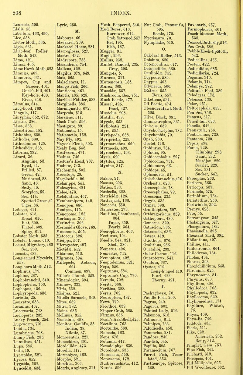 Leucosia, 595. Lialia, 56. Libellula, 463, 490, Lice, 558. LictorMoth, 535. Ligia, 631. Lilac-leaf Roller Moth, 543. Lima, 421. Limax, 405. Lime Hawk-Mott, 523 Limna3a, 409. Limnoria, 631. Limpet, Cup and Saucer, 401. Duck's-bill, 401. Key-hole, 400. River, 410. Limulus, 644. Ling-hood, 769. Lingula, 417. Linyphia, 652, 672. Liparis, 286. Lissa, 563. Lissotriton, 182. Lithobius, 659. Lithodes, 600. Lithodomus, 425. Lithosiidse, 538. Litorina, 392. Lizard, 36. Anguine, 53. Eyed, 41. Frilled, 87. Green, 42. Muricated, 88. Sand, 43. Scaly, 40. Scorpion, 59, Sea, 414. Spotted Green,41 Tiger, 86. Lobiger, 411. Lobster, 613. Broad, 610. Fiat, 609. riated, 609. Spiny, 611. Lobster Moth, 535. Lobster Louse, 640. Locust, Migratory,482 Sea, 269. Locusta, 483. Long-armed Myctiris, 558. Loug-hom Moth, 542. Lophinus, 179. Lophius, 287. Lophobranchii, 340. Lophophelia, 753. Lophopus, 456. Lophyropoda, 636. Loricata, 25. Louvette, 683. Lucanus, 467. Lucernaria, 748. Lucioperca, 232. Lucky Proach, 254. Lug-worm, 701. Luidia, 734. Lumbricus, 708. Lump Fish, 285. Lunulites, 451. Lupa, 585. Luth, 19. Lycaenidse, 521, Lycosa, 652. Lygaeida, 552. Lynceidse, 636. Lyrie, 255, M. Mabouya, 60. Mackarel, 269. Mackarel Horse, 281. Macroglossa, 527. Mactra, 432. Madrepore, 753. Mseandrina, 754, Malleus, 422. Magilus, 379, 649. Maia, 565. Malaclemys, 11. Mango Fish, 266. Manticora, 461. Mantis, 485, 628. Marbled Fiddler, 583. Marginella, 385. Marmignatto, 672. Marpesia, 515. Marsseus, 511. Mask Crab, 596. Mastigure, 89. Matamata, 15. Matlametlo, 152. May Fly, 492. Mayock Flenk, 303. Mealy Bug, 548. Mealworm, 474. Medusa, 746. Medusa's Head, 737. Medusae, 743. Mechanitis, 505. Mecistops, 28. Megalochile, 90. Melanippe, 541. Meleagrina, 424. Meloe, 473. MelolontLse, 467. Membranipora, 449. Menopon, 686. Menipea, 445. Menopome, 185. Merlangus, 306. Merlucius, 306. Mermaid's Glove, 769. Mesosemia, 505. Metoecus, 626. Micippa, 567. Microgaster, 497. Mictidse, 652. Midamus, 512. Migranes, 594. Millepede, Actason, 694. Common, 697. Miller's Thumb, 252. Mineralogist, 394. Minnow, 333. Miris, 552. Misipsa, 521. Mitella Barnacle, 648. Mites, 682. Mitra, 382. Moina, 635. Molluscs, 355. Monedula, 498. Monitor, Gould's, 38. Indian, 38. ^'ilotic, 37. Monooentris, 227. Monochirus, 301. MordeUida;, 473. Morelia, 117. Mormolyce, 462. Morpho, 521. Morrhua, 306. Morris, Anglesey, 314. Moth, Peppered, 540. Mud Borer, 613. Burrower, 612. Crab,flattened,557 Eel, 195. Fish, 187. Mugger, 31. Miigil, 296. Mullus, 238. Mullet, Banded, 235. Grey, 295. Mungofa, 5. Murrena, 311. Murasnopsis, 186, Murex, 369. MuscidaD, 557. Mushroom, Sea, 751. Musk Beetle, 477. Mussel, 425. Pearl, 427. Mustelus, 208. Mutilla, 499. Mygale, 653. Myliobatis, 221. Myra, 695. Myriapoda, 688. Myripristis, 229. Myrmarachna, 660. Myrmecia, 499. Myrmeleon, 493. Mysis, 620. Mytilus, 425. Myxine, 347. N. Nakoo, 27. Naseus, 293. Natica, 388. Naticella, 388. Natricidae, 126. Natterjack, 168. Naucoris, 550. Nauorates, 273. Nautilus, Chambered, 364. Paper, 359. Pearly, 364. Necrophorus, 466. Necturus, 194. Needle, Sea, 321. Shell, 380. Nematus, 496. Nemertes, 712. Nemoptera, 492. Neoptolemus, 521. Nepa, 550. Neptunus, 584. Neptune's Cup, 770. Nereida, 702. Nerita, 388. Neritina, 388. Nereis, 702. Neuroptera, 487. Newt, 179. Nicothoe, 639. Nipper Crab, 585. Nirmus, 686. Noah's Ark SheU,425. NoctUuca, 763. Noctuidae, 538. Nomada, 463. Nops, 676. Notamia, 447. Notodelphys, 639, Notodonta, 536. Notonecta, 550. Nototi-ema, 172. Nudibranchiata, 412. Nursia, 696. Nut Crab, Pennant's, 595. Beetle, 475. Nyctisaura, 70. Nymphalis, 518. 0. Oak-leaf Roller, 543. Obisium, 680. Octonoculina, 677. Octoporlidae, 360. Oculinidse, 752. Ocypode, 589. Ocypus, 465. Odynerus, 500. (Estrus, 555. Bovis, 557. Oiketious, 534. Oil Beetle, 474. Oleander Hawk Moth, 525. Olive, Black, 381, Ommastrephes, 361. Oaiscus, 632. Onychodactylus, 182. Onychophis, 70. Opah, 280. Opelet, 748. Ophiurus, 734, Ophidia, 95. Ophiocephalus, 297. Ophiocoma, 734. Ophiomore, 66. Ophiops, 45. Ophisaurus, 51. Opi8thobranchias,410. Orchestia, 623. Oreocephale, 78. Oreocephalus, 79. Oreosoma, 235. Orgyia, 535. Ormer, 398. Omithoptera, 507. Orthragoriscus, 339. Orthoptera, 480. Osmerus, 329. Ostracion, 335. Ostracoda, 636. Ostrea, 419. Otiothops, 676. Otolithus, 266. Ouatalibi, 233. Oular Carron, 116. Ourapteryx, 541. Ovulum, 387. Oyster, 419. Lnng-hinged,419. Pearl, 423. Thorny, 421. P. Pachyglossaj, 70. Paddle Fish, 200. Pagrus, 240. Pagurus, 603. Painted Lady, 516. Palaemon, 618. Palinurus, 611. Palmipes, 733. Paludicella, 458. Pammelas, 281. Pandora, 240. Pan-fish, 645. Papilio, 505. Paramecium, 767. Parrot Fish, Tesse- lated, 353. Parthenope, Spinose, 569. Pavonaria, 757. Parmophorus, 401. Peach-blossom Moth, 538. PeacockButterfly,516, Pea Crab, 588. Pebble Hook-tipMoth, 542. Pcdicellina, 455. Pecten, 422. Pediculidae, 685. Pedicillariffl, 724. Pegasus, 340, Pelamis, 114. Pelamys, 272. Pelican's Foot, 389 Pelodryas, 173, Pelonaea, 438. Pelor, 251. Peltocepliala, 639. Pen Sea, 7.')6. Penseus, 617. Pencil-tail, 696. Penella, 642. Pennatula, 756. Pentacrinus, 738. Pentacta, 720. Pepsis, 498. Perch, 229. Climbing, 293, Giant, 232. Murdjan, 229. Scarlet, 229. Sea, 231. Sucker, 641. Percophis, 263, Pericera, 565. Pericopis, 537. Perimela, 575. Perinidium, 764. Peristethus, 256. Periwinkle, 392. Pemys, 623. Pete, 55. Petromyzon, 345. Phalangium, 677, Phasgonura, 484. Phasianella, 395. Pheasant Shell, 395, Philanthus, 497. Philine, 411. Philodromus, 664, Philodryas, 134. Pholas, 434. Phorus, 393. PhoxichUidium, 643. Phronima, 625. Phrynosoma, 84, Phiynus, 680. Pbyllium, 486. Phyllodoce, 703. Phyllopoda, 632. Phyllosoma, 620. Phyllomedusa, 174. Phyllure, White's, 75, Phy3a, 409. Physalis, 740. Piddock, 435. Pieris, 511. Pike, 322. American, 232. Bony, 342. Pimplet, Gem, 751. Pipe Fish, 341. Pilchard, 319. Pileopsis, 401. Pill Mdlipede, 695. P=)) WoodlouKe. 632.