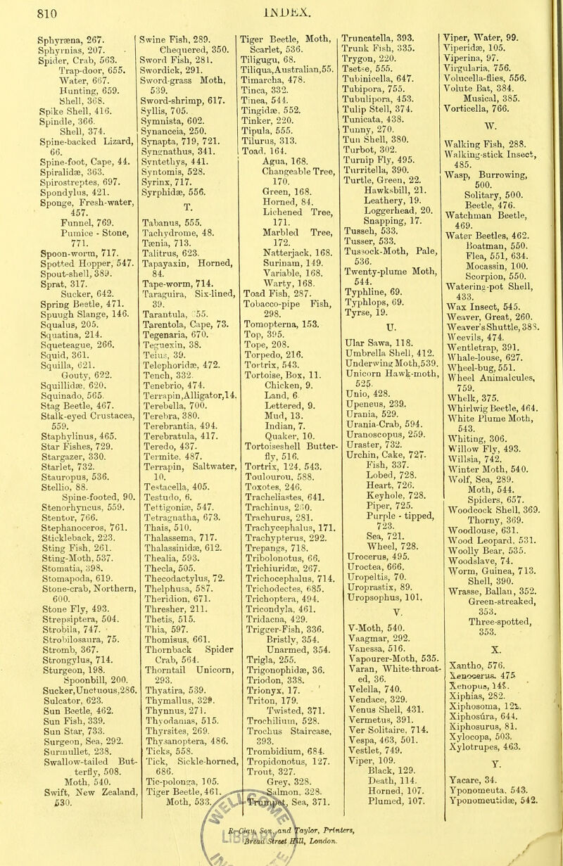 Sphyrsena, 267. Sphymias, 207. Spider, Crab, 563. Trap-door, 655. Water, 667. Hunting, 659. Shell, 368. Spike Shell, 416. Spindle, 366. Shell, 374. Spiue-backed Lizard, 66. Spine-foot, Cape, 44. Spiralidffi, 363. Spirosti-eptes, 697. Spondylns, 421. Sponge, Fresh-water, 457. Funnel, 769. Pumice - Stone, 771. Spoon-woi'tn, 717. Spotted Hopper, 547. Spout-sbell, 383. Sprat, 317. Sucker, 642. Spring Beetle, 471. Spuugh Slange, 146. Squalus, 205. Squatina, 214. Squeteague, 266. Squid, 361. Squilla, 621. Gouty, 692. Squillidae, 620. Squinado, 565. Stag Beetle, 467. Stalk-eyed Crustacea, 559. Staphylinus, 465. Star Fishes, 729. Stargazer, 330. Starlet, 732. Stauropus, 536. StelUo, 88. Spine-footed, 90. Stenorhyucus, 559. Stentur, 766. Stephanoceros, 761. Stickleback, 223. Sting Fish, 261. Sting-Moth, 537. Stomatia, a9S. Stomapoda, 619. Stone-crab, Northern, 600. Stone Fly, 493. Strepsiptera, 604. Strobila, 747. ■ Strobilosaura, 75. Stromb, 367. Strougylus, 714. Sturgeon, 198. Spoonbill, 200. Sucker, Unctuous,286. Sulcator, 623. Sun Beetle, 462. Sun Fish, 339. Sun Star, 733. Surgeon, Sea, 292. Surmullet, 238. Swallow-tailed But- terfly, 508. Moth, 540. Swift, New Zealand 530. Swine Fish, 289. Chequered, 350. Sword Fish, 281. Swordick, 291. Sword-grass Moth, 539. Sword-shrimp, 617. Syllis, 705. Symnista, 602. Synanceia, 250. Synapta, 719, 721. Synsnathus, 341. Syntetbys, 441. Syntomis, 528. Syrinx, 717. Syrphidffi, 556. T. Tabanus, 555. Tachydrome, 48. Ta?nia, 713. TalitruB, 623. Tapayaxin, Horned, 84. Tape-worm, 714. Taraguira, Six-lined, 39. Tarantula, '55. Tarentola, Cape, 73. Tegenaria, 670. Teguexin, 38. Teiu,^, 39. Telephoridse, 472. Tench, 332. Tenebrio, 474. Terrapin, Alligator, 14. Terebella. 700. Terehra, 380. Terebrantia, 494. Terebratula, 417. Teredo, 437. Termite, 487. Terrapin, Saltwater, 10. Testacella, 405. Testudo, 6. Tettigonia;, 547. Tetraguatha, 673. Thais, 510. Thalassema, 717. Thalassinidse, 612. Thealia, 593. Thecla, 505. Thecodactylus, 72. Thelphusa, 587. Theridion, 671. Thresher, 211. Thetis, 515. Thia, 597. Thomisus, 661. Thornback Spider Crab, 564. Thorntail Unicom, 293. Thyatira, 539. Thymallus, 32». Thynnus, 271. Thvodanias, 515. Thyrsites, 269. Thy.sanoptera, 486. Ticks, 558. Tick, Sickle-horned, 686. Tic-polonga, 105. Tiger Beetle, 461. Moth, 55:5. Tiger Beetle, Moth, Scarlet, 536. Tiligugu, 68. Tiliqua,Australian,55. Timarcha, 478. Tinea, 332. Tinea, 544. Tingidae, 552. Tinker, 220. Tipula, 555. Tilurus, 313. Toad, 164. Agua, 168. Changeable Tree, 170. Green, 168. Homed, 84. Lichened Tree, 171. Marbled Tree, 172. Natterjack, 168. Surinam, 149. Variable, 168. Warty, 168. Toad Fish, 287. Tobacco-pipe Fish, 298. Tomopterna, 153. Top, 395. Tope, 208. Torpedo, 216. Toi trix, 543. Tortoise, Box, 11. Chicken, 9. Land, 6 Lettered, 9. Mud, 13. Indian, 7. Quaker, 10. Tortoiseshell Butter- fly, 516. Tortrix, 124. 543. Toulourou. 588. Toxotes, 246. Tracheliastes, 641. Trachinus, 2;!0. Traohurus, 281. Trachycephalus, 171. Trachypterus, 292. Trepangs, 718. Tribolonotus, 66. Trichiuridae, 267. Trichocephalus, 714. Triohodectes, 685. Trichoptera, 494. Tricondyla, 461. Tridacna, 429. Trigcer-Fish, 836. Bristly, 354. Unarmed, 354. Trigla, 255. Trigonophidse, 36. Triodon, 338. Trionyx, 17. Triton, 179. Twisted, 371. Trochilium, 528. Trochus Staircase, 393. Trombidium, 684. Tropidonotus, 127. Trout, 327. Grey, 328. -Salmon, 328. Trumpet, Sea, 371. Truncatella, 393. Trunk Fish, 335. Trygon, 220. Tset-e, 555. Tubinicella, 647. Tubipora, 755. Tubulipora, 453. Tulip Stell, 374. Tunicata, 438. Tunny, 270. Tun Shell, 380. Turbot, 302. Turnip Fly, 495. Turritella, 390. Turtle, Green, 22. Hawk.sbill, 21. Leathery, 19. Loggerhead, 20. Snapping, 17. Tusseh, 533. Tusser, 533. Tussock-Moth, Pale, 536. Twenty-plume Moth, 544. Typhline, 69. Typhlops, 69. Tyrse, 19. U. Ular Sawa, 118. Umbrella Shell, 412. Underwini; Moth,539. Unicorn Hawk-moth, 525. Unio, 428. Upeneus, 2391. Urania, 529. Urania-Crab, 594. Uranoscopus, 259. Uraster, 732. Urchin, Cake, 727. Fish, 337. Lobed, 728. Heart, 726. Keyhole, 728. Piper, 725. Purple - tipped, 72.3. Sea, 721. Wheel, 728. Urocerus, 495. Uroctea, 666. Uropeltis, 70. Uroprastix, 89. Uropsophus, 101. V-Moth, 540. Vaagmar, 292. Vanessa, 516. Vapourer-Moth, 535. Varan, White-throat- ed, 36. Velella, 740. Vendace, 329. Venus Shell, 431. Vermetus, 391. Ver Solitaire, 714. Vespa, 463, 501. Vestlet, 749. Viper, 109. Black, 129. Death, 114. Horned, 107. Plumed, 107. Viper, Water, 99. Viperidas, 105. Viperina, 97. Virgularia, 756. Volucella-flies, 556. Volute Bat, 384. Musical, 385. Vorticella, 766. W. Walking Fish, 288. Walking-stick In.sect, 485. Wasp, Burrowing, 500. Solitary, 500. Beetle, 476. Watchman Beetle, 469. Water Beetles, 462. Boatman, 550. Flea, 551, 634. Mocassin, 100. Scorpion, 550. Watering-pot Shell, 433. Wax Insect, 545. Weaver, Great, 260. Weaver's Shuttle, 38S. Weevils, 474. Wentletrap, 391. Whale-louse, 627. Wteel-bug, 551. Wheel Animalcules, 759. Whelk, 375. Whirlwig Beetle, 464. White Plume Moth, 643. Whiting, 306. Willow Fly, 493. Willsia, 742. Winter Moth, 540. Wolf, Sea, 289. Moth, 544. Spiders, 657. Woodcock Shell, 369. Thorny, 369. Woodlouse, 631. Wood Leopard, 531. Woolly Bear, 535. Woodslave, 74. Worm, Guinea, 713. Shell, 390. Wrasse, Ballan, 352. Green-streaked, 353. Three-spotted, 353. X. Xantho, 576. S-enooerus. 475 Xeiiopus, 14S. Xiphias, 282. Xiphosoma, 12S;, Xiphosiira, 644. Xiphosurus, 81. Xylocopa, 503. Xylotrupes, 463. Y. Yacare, 34. Yponomeuta. 543. Yponomeutidae, 642. /; Clay, Son,,and faylor. Printers, - Bread Street fitU, London.