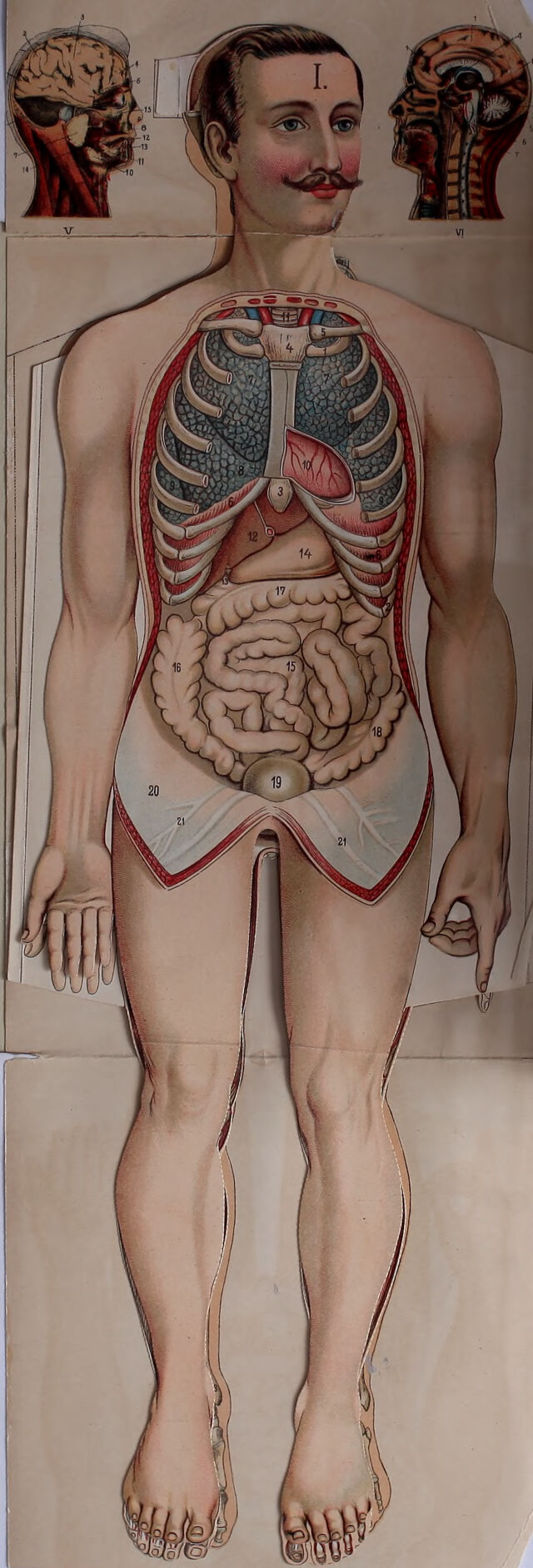 digitised image 2