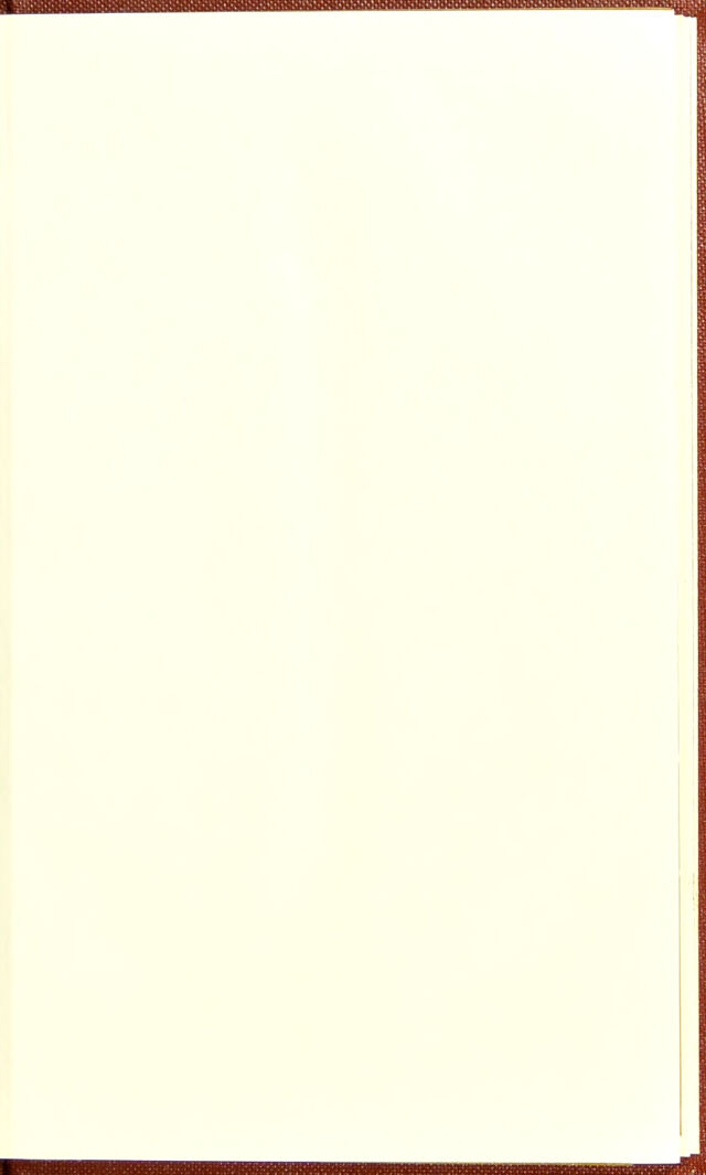 digitised image 3