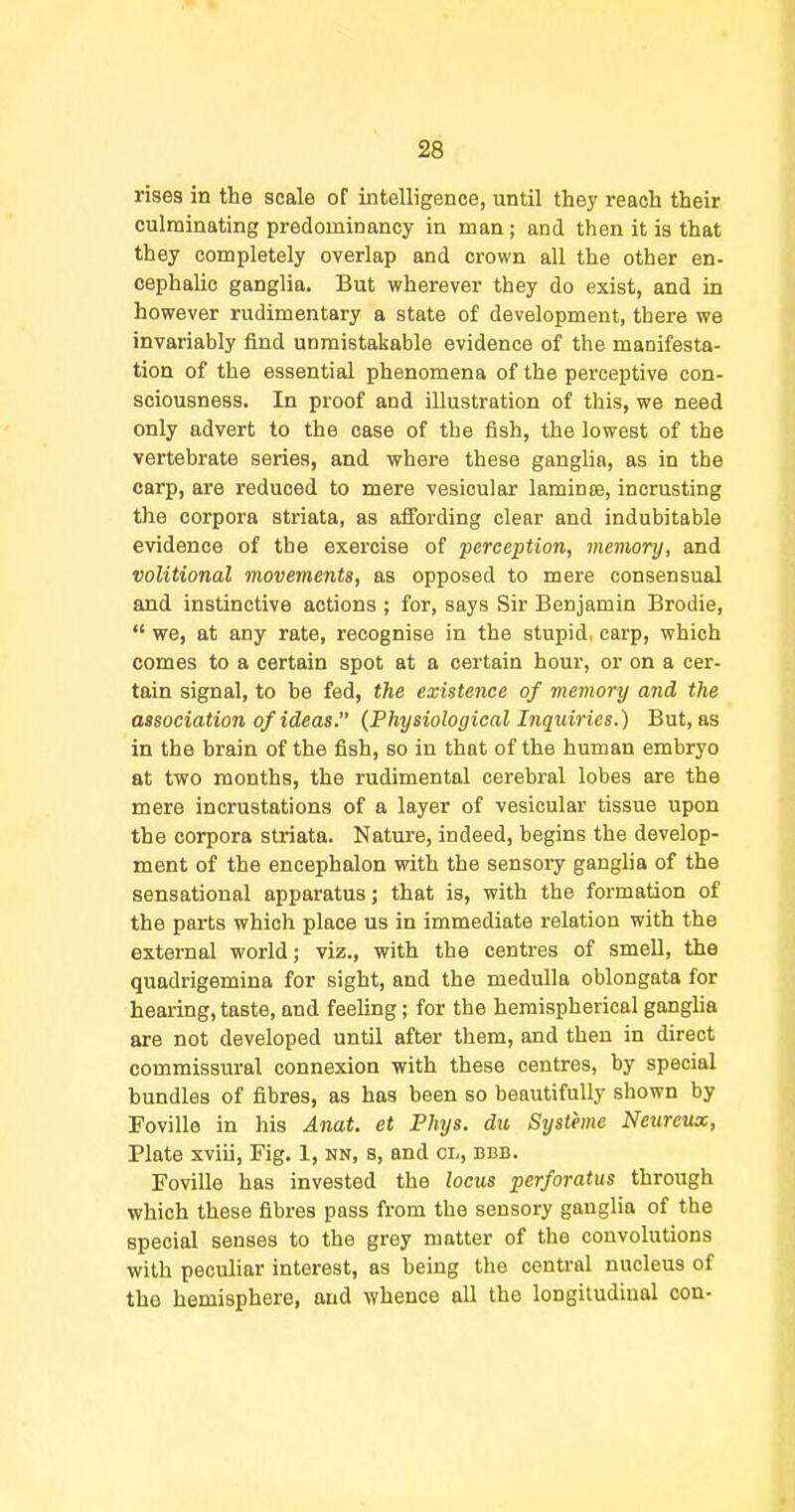 rises in the scale of intelligence, until they reach their culminating predominancy in man; and then it is that they completely overlap and crown all the other en- cephalic ganglia. But wherever they do exist, and in however rudimentary a state of development, there we invariably find unmistakable evidence of the manifesta- tion of the essential phenomena of the perceptive con- sciousness. In proof and illustration of this, we need only advert to the case of the fish, the lowest of the vertebrate series, and where these ganglia, as in the carp, are reduced to mere vesicular laminse, incrusting the corpora striata, as affording clear and indubitable evidence of the exercise of perception, memory, and volitional movements, as opposed to mere consensual and instinctive actions ; for, says Sir Benjamin Brodie, we, at any rate, recognise in the stupid, carp, which comes to a certain spot at a certain hour, or on a cer- tain signal, to be fed, the existence of memory and the association of ideas. (Physiological Inquiries.) But, as in the brain of the fish, so in that of the human embryo at two months, the rudimental cerebral lobes are the mere incrustations of a layer of vesicular tissue upon the corpora striata. Nature, indeed, begins the develop- ment of the encephalon with the sensory gangha of the sensational apparatus; that is, with the formation of the parts which place us in immediate relation with the external world; viz., with the centres of smell, the quadrigemina for sight, and the medulla oblongata for hearing, taste, and feeling; for the hemispherical ganglia are not developed until after them, and then in direct commissural connexion with these centres, by special bundles of fibres, as has been so beautifully shown by Foville in his Anat. et Phys. du Stjsteme Neurexix, Plate xviii. Fig. 1, nn, s, and cl, bbb. Foville has invested the locus perforatus through which these fibres pass from the sensory ganglia of the special senses to the grey matter of the convolutions with peculiar interest, as being the central nucleus of the hemisphere, and whence all the longiiudiual con-