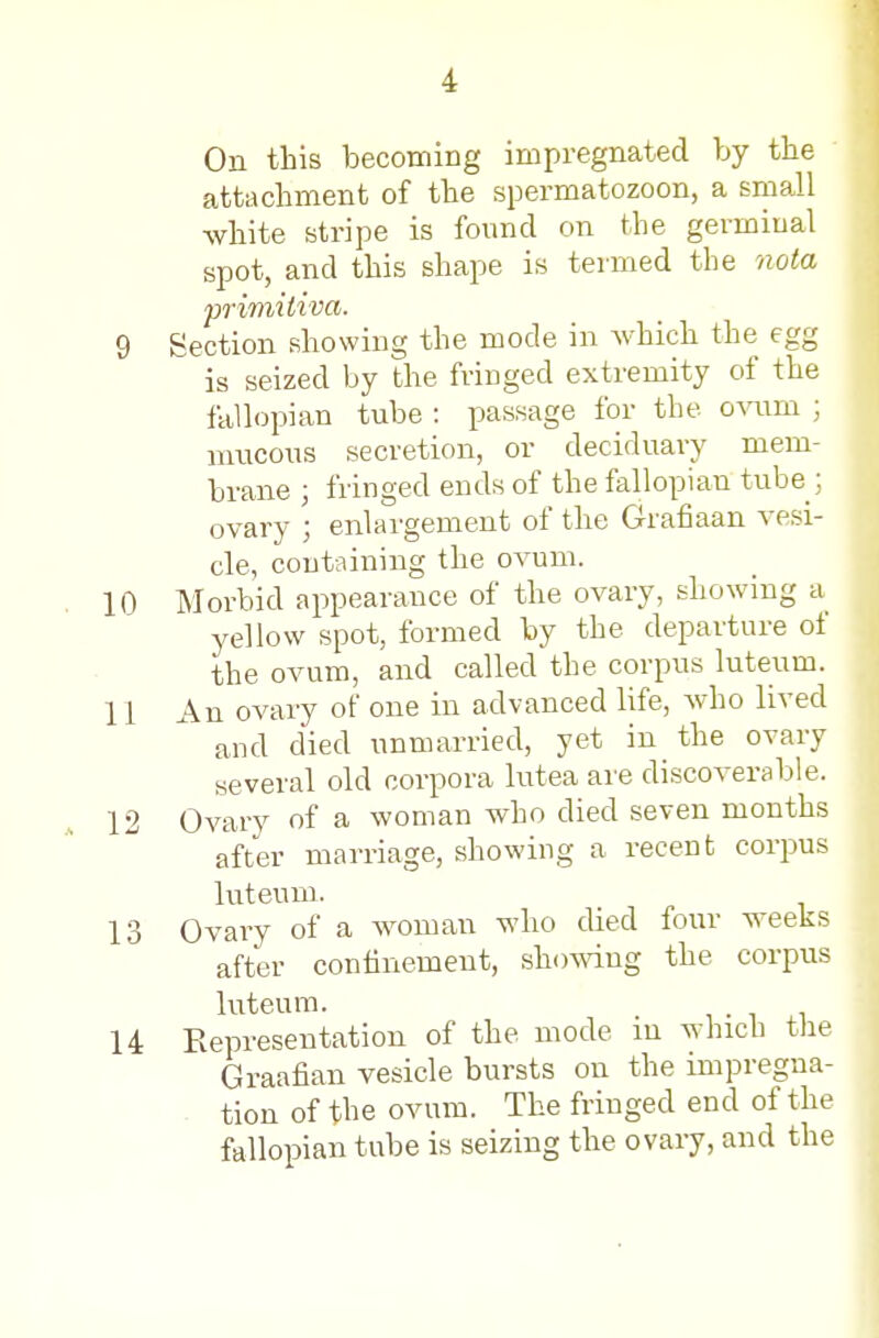 On this becoming impregnated by the attachment of the spermatozoon, a small white stripe is found on the germinal spot, and this shape is termed the nota primitiva. 9 Section showing the mode in which the egg is seized by the friDged extremity of the fallopian tube : passage for the o^mm ; mucous secretion, or deciduary mem- brane ; fringed ends of the fallopian tube ; ovary ; enlargement of the Grafiaan vesi- cle, containing the oA^um. 10 Morbid appearance of the ovary, showing a yellow spot, formed by the departure of the ovum, and called the corpus luteum. 11 An ovary of one in advanced life, who lived and died unmarried, yet in the ovary several old corpora lutea are discoverable. 12 Ovary of a woman who died seven months after marriage, showing a recent corpus luteum. 13 Ovary of a woman who died four weeks after confinement, showing the corpus luteum. 14 Representation of the mode m which the Graafian vesicle bursts on the impregna- tion of the ovum. The fringed end of the fallopian tube is seizing the ovary, and the