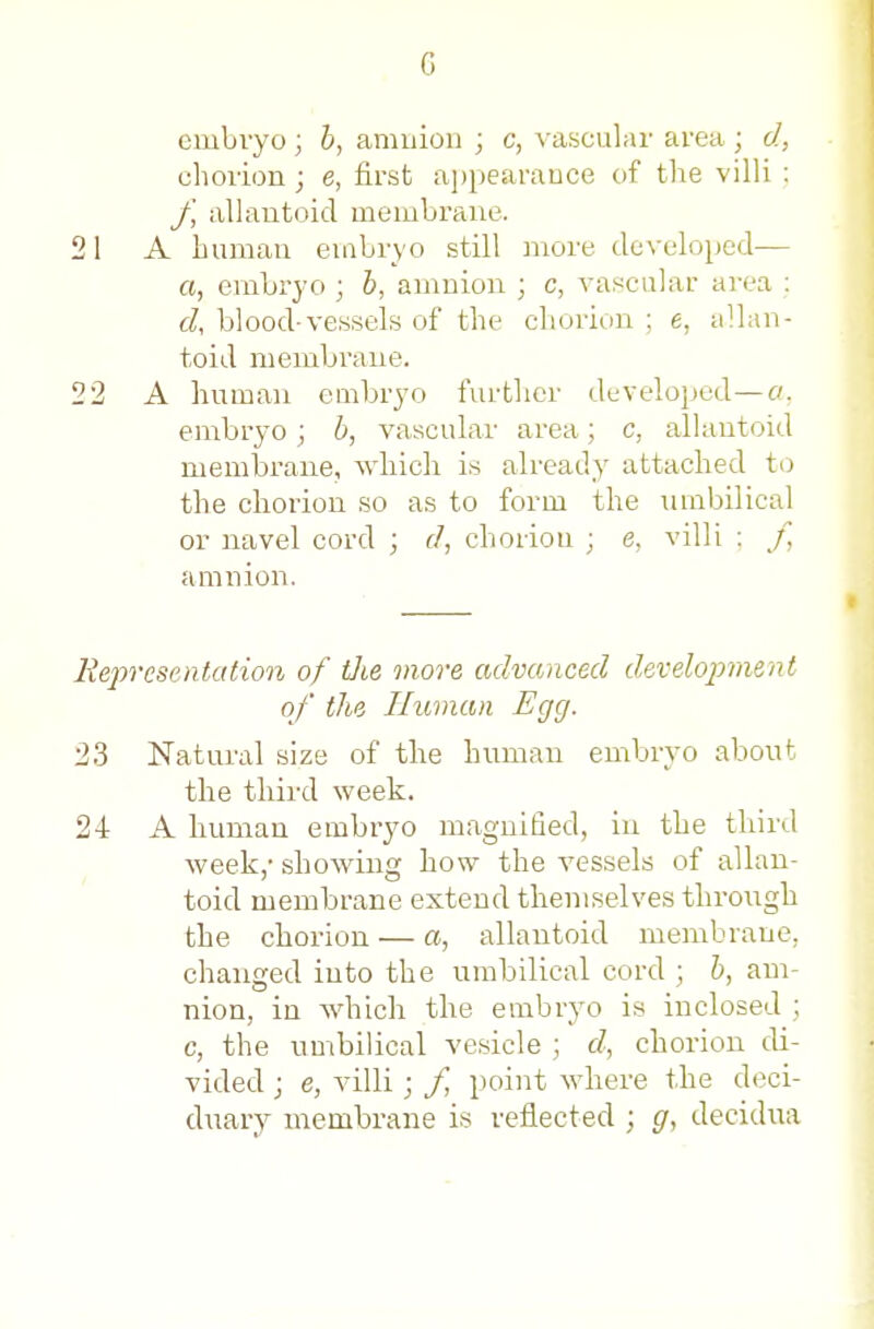 embryo ; 5, amuion ; c, vascular area ; d, cliorion ; e, first aj)pearauce of the villi : /, allautoid membrane. A human embryo still more developed^— a, embryo ; b, amnion ; c, vascular area : c/, blood-vessels of the chorion ; e, allau- toid membrane. A human embryo further developed—a. embryo; b, vascular area; c, allantoid membrane, which is already attached to the chorion so as to form the umbilical or navel cord ; d, choiiou ; e, villi ; f, amuion. resentcdion of tJte more advanced d.evelopimnt of the Human Egg. Natural size of the human embryo about the third week. A human embryo magnified, in the third week/ showing how the vessels of allan- toid membrane extend themselves through the chorion — a, allautoid membrane, changed into the umbilical cord ; b, am- nion, in which the embryo is inclosed ; c, the umbilical vesicle ; d, chorion di- vided ; e, villi ; / point where the deci- duary membrane is reflected ; g, decidua