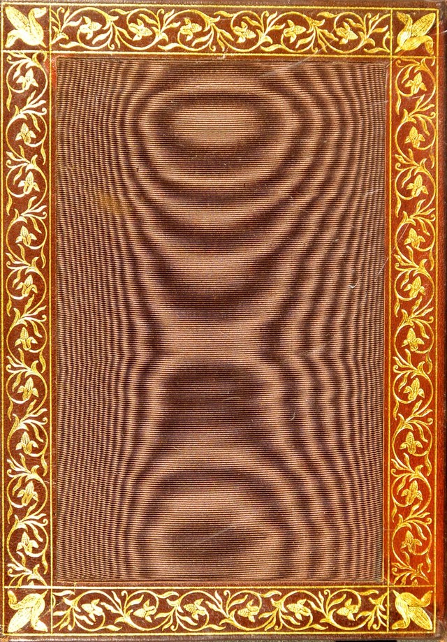 No text description is available for this image