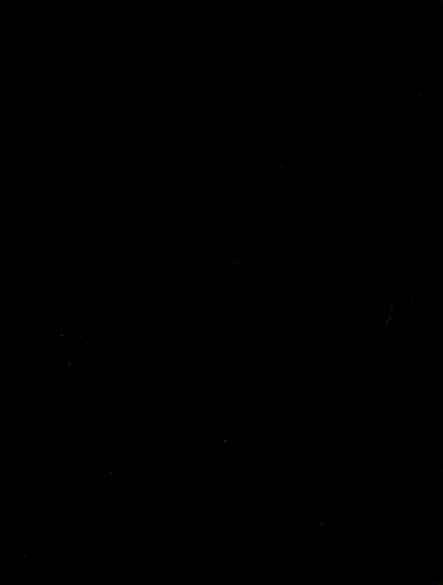 digitised image 3