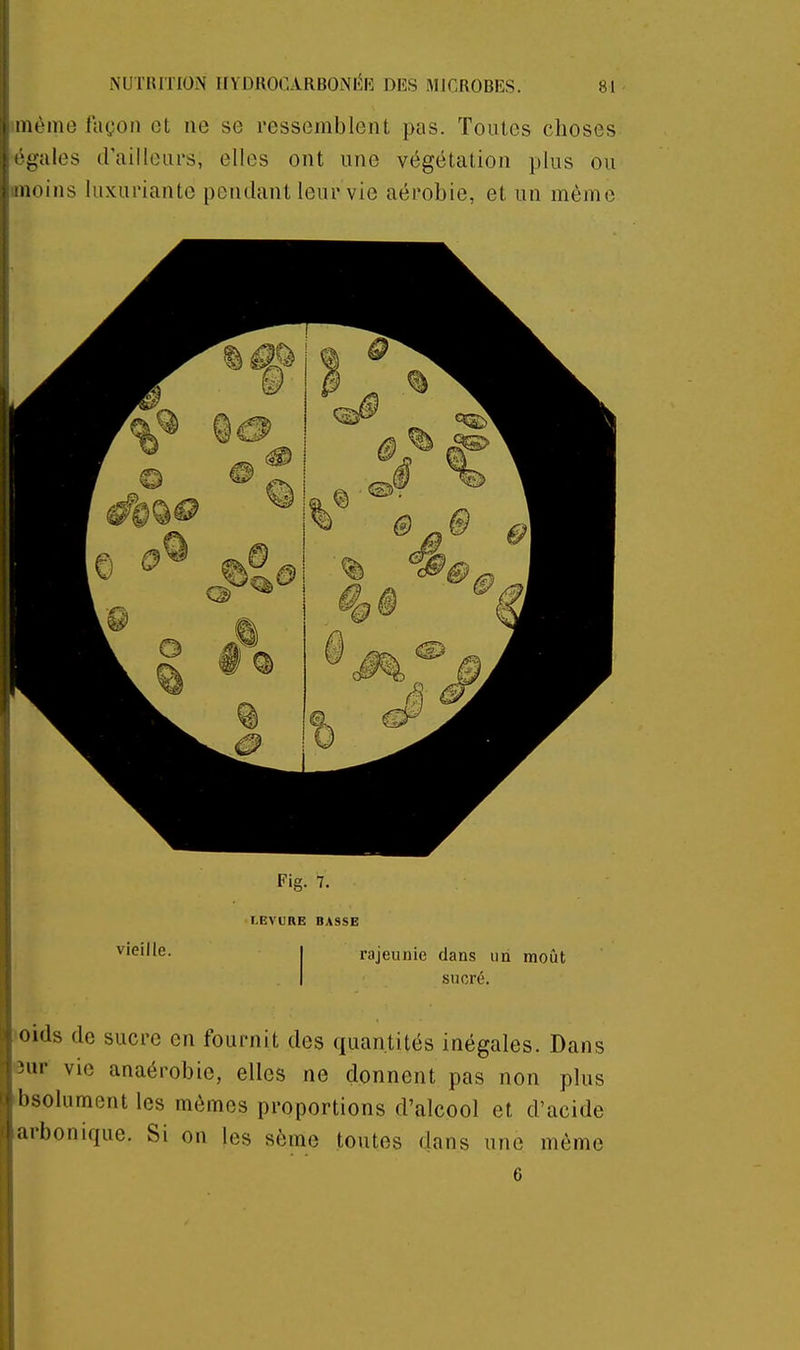 imème façon et ne se ressemblent pas. Toutes choses égales d'ailleui's, elles ont une végétation plus ou imoins luxuriante pendant leur vie aérobie, et un même ^1 0 vieille. Fig. 7. LEVURE BASSE rajeunie dans un moût sucré. 'Oids de sucre en fournit des quantités inégales. Dans ôur vie anaérobie, elles ne donnent pas non plus ibsolument les mômes proportions d'alcool et d'acide arbonique. Si on les sème toutes dans une même
