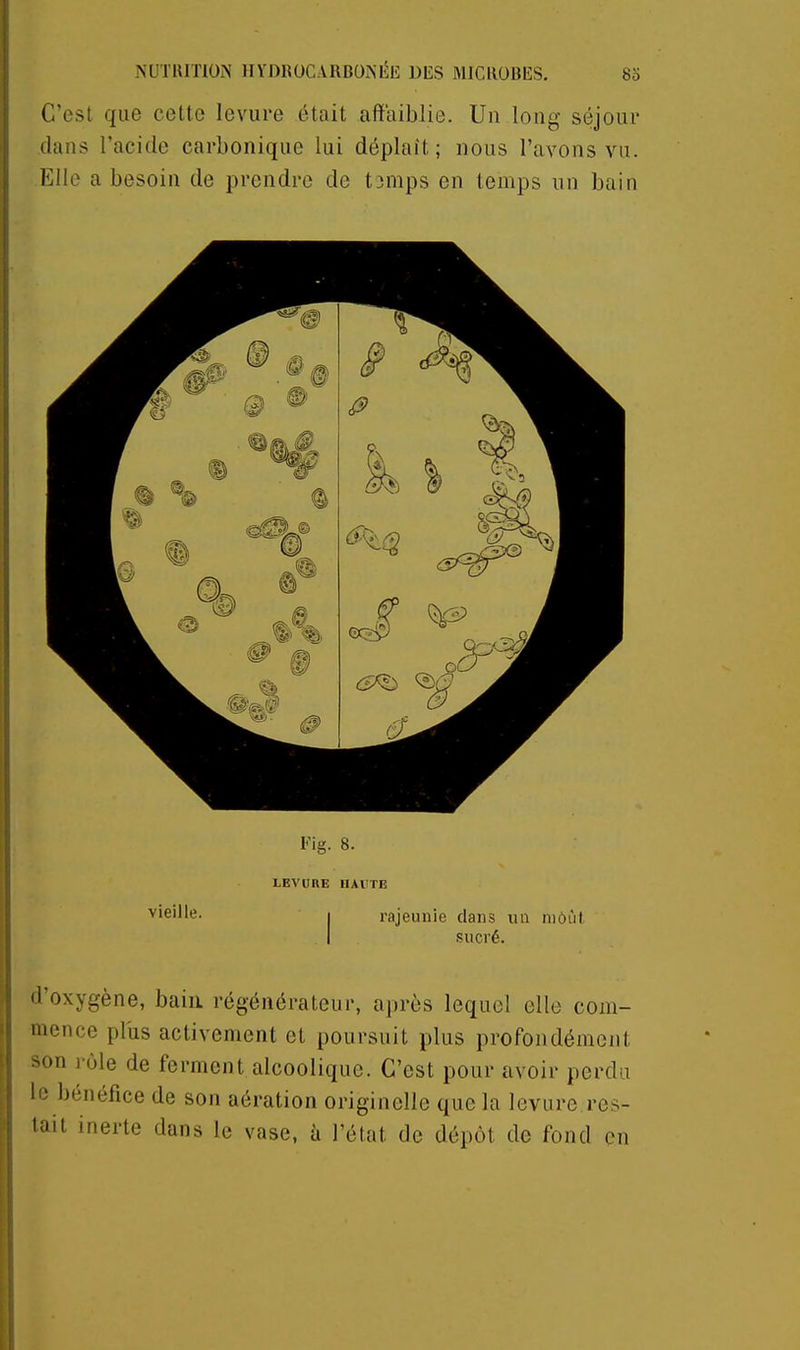 C'est que cette levure était affaiblie. Un long séjour dans l'acide carbonique lui déplaît; nous l'avons vu. Elle a besoin de prendre de tomps en temps un bain Fig. 8. LEVUKE HAUTE ■V'^'^l'i' I rajeunie clans 1111 niôùl I sucré. 'l'oxygène, bain régénérateur, après lequel elle com- mence pliis activement et poursuit plus profondément -on rôle de ferment alcoolique. C'est pour avoir perdu le bénéfice de son aération originelle que la levure res- tait inerte dans le vase, à l'état de dépôt de fond en