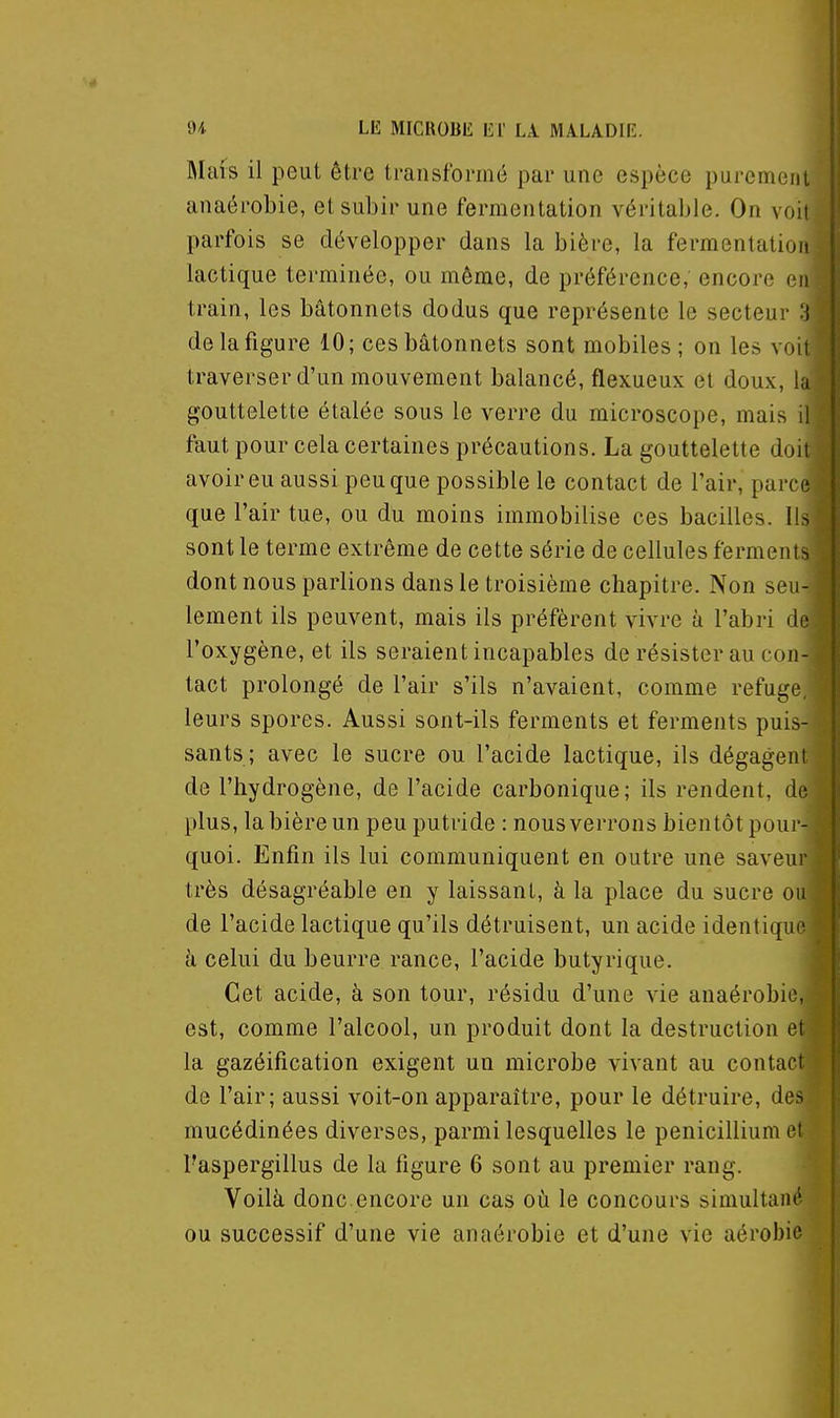 Mais il peut être transfonaé par une espèce purement anaérobie, et subir une fermentation véritable. On voit, parfois se développer dans la bière, la fermentation: lactique terminée, ou même, de préférence, encore en! train, les bâtonnets dodus que représente le secteur 3i de la figure 10; ces bâtonnets sont mobiles ; on les voit| traverser d'un mouvement balancé, flexueux et doux, [À gouttelette étalée sous le verre du microscope, mais il! faut pour cela certaines précautions. La gouttelette doit avoir eu aussi peu que possible le contact de l'air, parcé que l'air tue, ou du moins immobilise ces bacilles. Us sont le terme extrême de cette série de cellules ferments dont nous parlions dans le troisième chapitre. Non seun lement ils peuvent, mais ils préfèrent vivre à l'abri de l'oxygène, et ils seraient incapables de résister au con- tact prolongé de l'air s'ils n'avaient, comme refugej leurs spores. Aussi sont-ils ferments et ferments puis-) sants; avec le sucre ou l'acide lactique, ils dégagent! de l'hydrogène, de l'acide carbonique; ils rendent, de; plus, la bière un peu putride : nous verrons bientôt pour-j quoi. Enfin ils lui communiquent en outre une saveur très désagréable en y laissant, à la place du sucre ou de l'acide lactique qu'ils détruisent, un acide identique à celui du beurre rance, l'acide butyrique. Cet acide, à son tour, résidu d'une vie anaérobie est, comme l'alcool, un produit dont la destruction e la gazéification exigent un microbe vivant au contac de l'air; aussi voit-on apparaître, pour le détruire, de mucédinées diverses, parmi lesquelles le pénicillium l'aspergillus de la figure 6 sont au premier rang. Voilà donc.encore un cas où le concours simultan ou successif d'une vie anaérobie et d'une vie aérobi