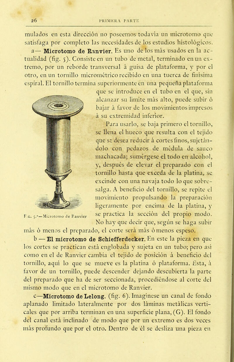 mulados en esta dirección no poseemos todavía un microtomo que satisfaga por completo las necesidades de los estudios histológicos. a— Microtomo de Ranvier. Es uno de los más usados en la ac- tualidad (fig. 5). Consiste en un tubo de metal, terminado en un ex- tremo, por un reborde transversal á guisa de plataforma, y por el otro, en un tornillo micrométrico recibido en una tuerca de finísima espiral. El tornillo termina superiormente en una pequeña plataforma más ó menos el preparado, el corte será más órnenos espeso. b — El microtomo de Schiefferdecker. En este la pieza en que los cortes se practican está englobada y sujeta en un tubo; pero así como en el de Ranvier cambia el tejido de posición á beneficio del tornillo, aquí lo que se mueve es la platina ó plataforma. Esta, á favor de un tornillo, puede descender dejando descubierta la parte del preparado que ha de ser seccionada, procediéndose al corte del mismo modo que en el microtomo de Ranvier. c—Microtomo deLelong. (fig- 6). Imagínese un canal de fondo aplanado limitado lateralmente por dos láminas metálicas verti- cales que por arriba terminan en una superficie plana, (G). El fondo del canal está inclinado de modo que por un extremo es dos veces más profundo que por el otro. Dentro de él se desliza una pieza en que se introduce en el tubo en el que, sin alcanzar su límite más alto, puede subir ó bajar á favor de los movimientos impresos á su extremidad inferior. Para usarlo, se baja primero el tornillo, se llena el hueco que resulta con el tejido que se desea reducir á cortes finos, sujetán- dolo con pedazos de médula de saúco machacada; sumérgese el todo en alcohol, y, después de elevar el preparado con el tornillo hasta que exceda de la platina, se excinde con una navaja todo lo que sobre- salga. A beneficio del tornillo, se repite el movimiento propulsando la preparación ligeramente por encima de la platina, y se practica la sección del propio modo. No hay que decir que, según se haga subir