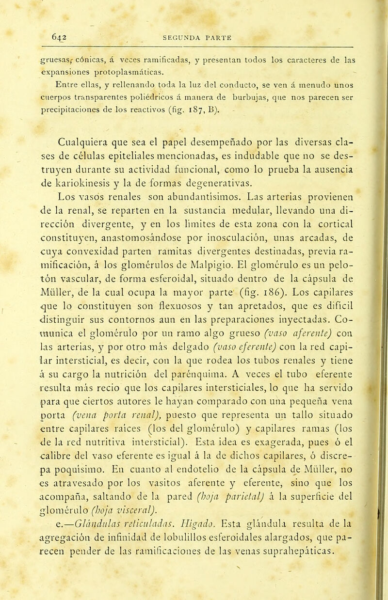 gruesas,'cónicas, á veces ramificadas, y presentan todos los caracteres de las expansiones protoplasmáticas. Entre ellas, y rellenando toda la luz del conducto, se ven á menudo unos cuerpos transparentes poliédricos á manera de burbujas, que nos parecen ser precipitaciones de los reactivos (fig. 187, B). Cualquiera que sea el papel desempeñado por las diversas cla- ses de células epiteliales mencionadas, es indudable que no se des- truyen durante su actividad funcional, como lo prueba la ausencia de kariokinesis y la de formas degenerativas. Los vasos renales son abundantísimos. Las arterias provienen de la renal, se reparten en la sustancia medular, llevando una di- rección divergente, y en los limites de esta zona con la cortical constituyen, anastomosándose por inosculación, unas arcadas, de cuya convexidad parten ramitas divergentes destinadas, previa ra- mificación, á los glomérulos de Malpigio. El glomérulo es un pelo- tón vascular, de forma esferoidal, situado dentro de la cápsula de Müller, de la cual ocupa la mayor parte' (fig. 186). Los capilares que lo constituyen son flexuosos y tan apretados, que es difícil «distinguir sus contornos aun en las preparaciones inyectadas. Co- munica el glomérulo por un ramo algo grueso (vaso aferente) con las arterias, y por otro más delgado (vaso eferente) con la red capi- lar intersticial, es decir, con la que rodea los tubos renales y tiene á su cargo la nutrición del parénquima. A veces el tubo eferente resulta más recio que los capilares intersticiales, lo que ha servido para que ciertos autores le hayan comparado con una pequeña vena porta (vena porta renal), puesto que representa un tallo situado entre capilares raices (los del glomérulo) y capilares ramas (los <Je la red nutritiva intersticial). Esta idea es exagerada, pues ó el calibre del vaso eferente es igual á la de dichos capilares, ó discre- pa poquísimo. En cuanto al endotelio de la cápsula de Müller, no es atravesado por los vasitos aferente y eferente, sino que los acompaña, saltando de la pared (hoja parietal) á la superficie del glomérulo (hoja visceral). e.—Glándulas reliculadas. Hígado. Esta glándula resulta de la agregación de infinidad de lobulillos esferoidales alargados, que pa- recen pender de las ramificaciones de las venas suprahepáticas.