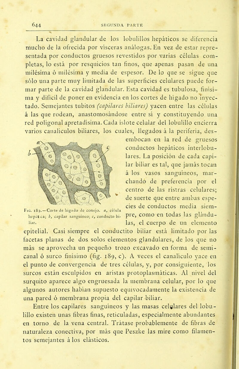 La cavidad glandular de los lobulillos hepáticos se diferencia mucho de la ofrecida por visceras análogas. En vez de estar repre- sentada por conductos gruesos revestidos por varias células com- pletas, lo está por resquicios tan finos, que apenas pasan de una milésima ó milésima y media de espesor. De lo que se sigue que sólo una parte muy limitada de las superficies celulares puede for- mar parte de la cavidad glandular. Esta cavidad es tubulosa, finísi- ma y difícil de poner en evidencia en los cortes de hígado no inyec- tado. Semejantes tubitos (capilares biliares) yacen entre las células á las que rodean, anastomosándose entre sí y constituyendo una red poligonal apretadísima. Cada islote celular del lobulillo encierra varios canalículos biliares, los cuales, llegados á la periferia, des- embocan en la red de gruesos conductos hepáticos interlobu- lares. La posición de cada capi- lar biliar es tal, que jamás tocan á los vasos sanguíneos, mar- chando de preferencia por el centro de las ristras celulares; de suerte que entre ambas espe- ' . , cies de conductos media siem- Fjg. 1S9. — Corte de hígado de conejo, a, célula hepát-ca; b, capilar sanguíneo; c, conducto bi- P^, COITIO en todaS las glándu- la, las, el cuerpo de un elemento epitelial. Casi siempre el conductito biliar está limitado por las facetas planas de dos solos elementos glandulares, de los que no más se aprovecha un pequeño trozo excavado en forma de semi- canal ó surco finísimo (fig. 189, c). A veces el canalículo yace en el punto de convergencia de tres células, y, por consiguiente, los surcos están esculpidos en aristas protoplasmáticas. Al nivel del surquito aparece algo engruesada la membrana celular, por lo que algunos autores habían supuesto equivocadamente la existencia de una pared ó membrana propia del capilar biliar. Entre los capilares sanguíneos y las masas celulares del lobu- lillo existen unas fibras finas, reticuladas, especialmente abundantes en torno de la vena central. Trátase probablemente de fibras de naturaleza conectiva, por más que Peszke las mire como filamen- tos semejantes á los elásticos.