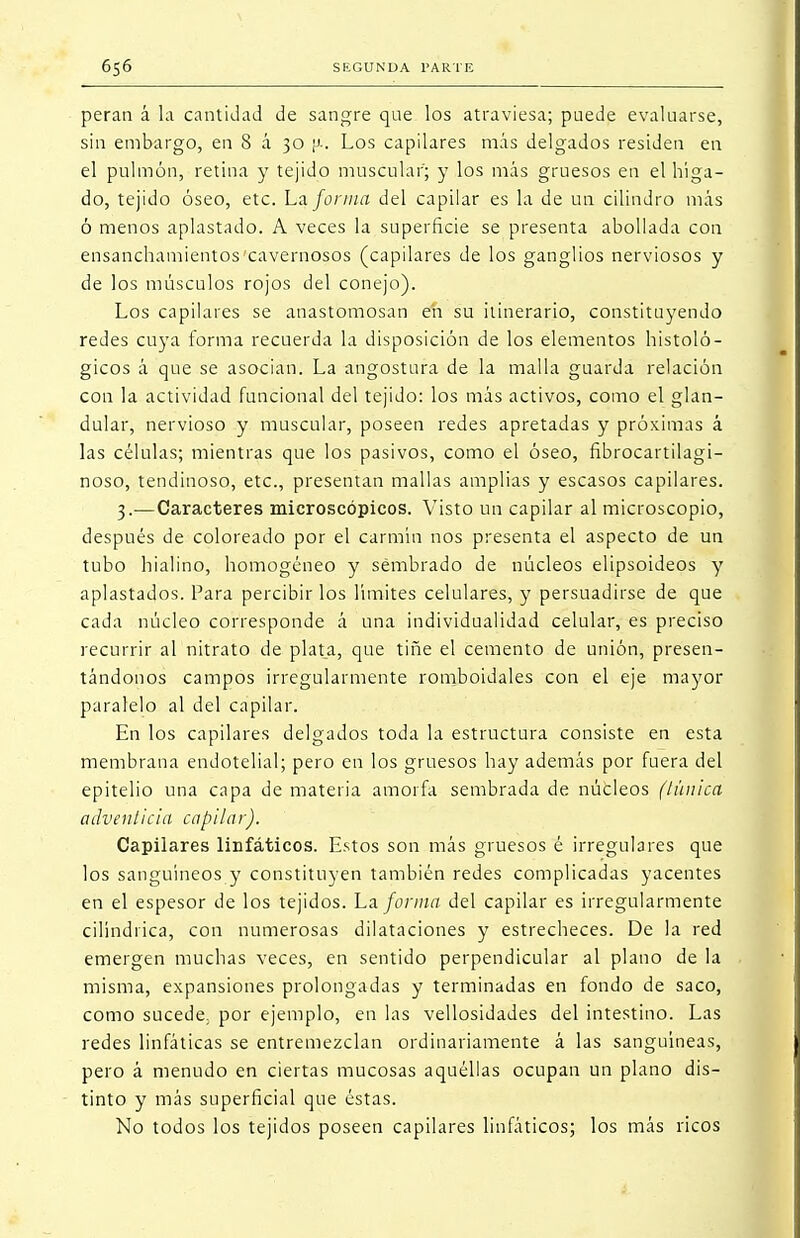 peran á la cantidad de sangre que los atraviesa; puede evaluarse, sin embargo, en 8 á 30 ¡>-. Los capilares más delgados residen en el pulmón, retina y tejido muscular; y los más gruesos en el híga- do, tejido óseo, etc. La forma del capilar es la de un cilindro más ó menos aplastado. A veces la superficie se presenta abollada con ensanchamientos'cavernosos (capilares de los ganglios nerviosos y de los músculos rojos del conejo). Los capilares se anastomosan en su itinerario, constituyendo redes cuya forma recuerda la disposición de los elementos histoló- gicos á que se asocian. La angostura de la malla guarda relación con la actividad funcional del tejido: los más activos, como el glan- dular, nervioso y muscular, poseen redes apretadas y próximas á las células; mientras que los pasivos, como el óseo, fibrocartilagi- noso, tendinoso, etc., presentan mallas amplias y escasos capilares. 3.—Caracteres microscópicos. Visto un capilar al microscopio, después de coloreado por el carmín nos presenta el aspecto de un tubo hialino, homogéneo y sembrado de núcleos elipsoideos y aplastados. Para percibirlos límites celulares, y persuadirse de que cada núcleo corresponde á una individualidad celular, es preciso recurrir al nitrato de plat_a, que tiñe el cemento de unión, presen- tándonos campos irregularmente romboidales con el eje mayor paralelo al del capilar. En los capilares delgados toda la estructura consiste en esta membrana endotelial; pero en los gruesos hay además por fuera del epitelio una capa de materia amorfa sembrada de núcleos (túnica adventicia capilar). Capilares linfáticos. Estos son más gruesos é irregulares que los sanguíneos y constituyen también redes complicadas yacentes en el espesor de los tejidos. La forma del capilar es irregularmente cilindrica, con numerosas dilataciones y estrecheces. De la red emergen muchas veces, en sentido perpendicular al plano de la misma, expansiones prolongadas y terminadas en fondo de saco, como sucede; por ejemplo, en las vellosidades del intestino. Las redes linfáticas se entremezclan ordinariamente á las sanguíneas, pero á menudo en ciertas mucosas aquéllas ocupan un plano dis- tinto y más superficial que éstas. No todos los tejidos poseen capilares linfáticos; los más ricos