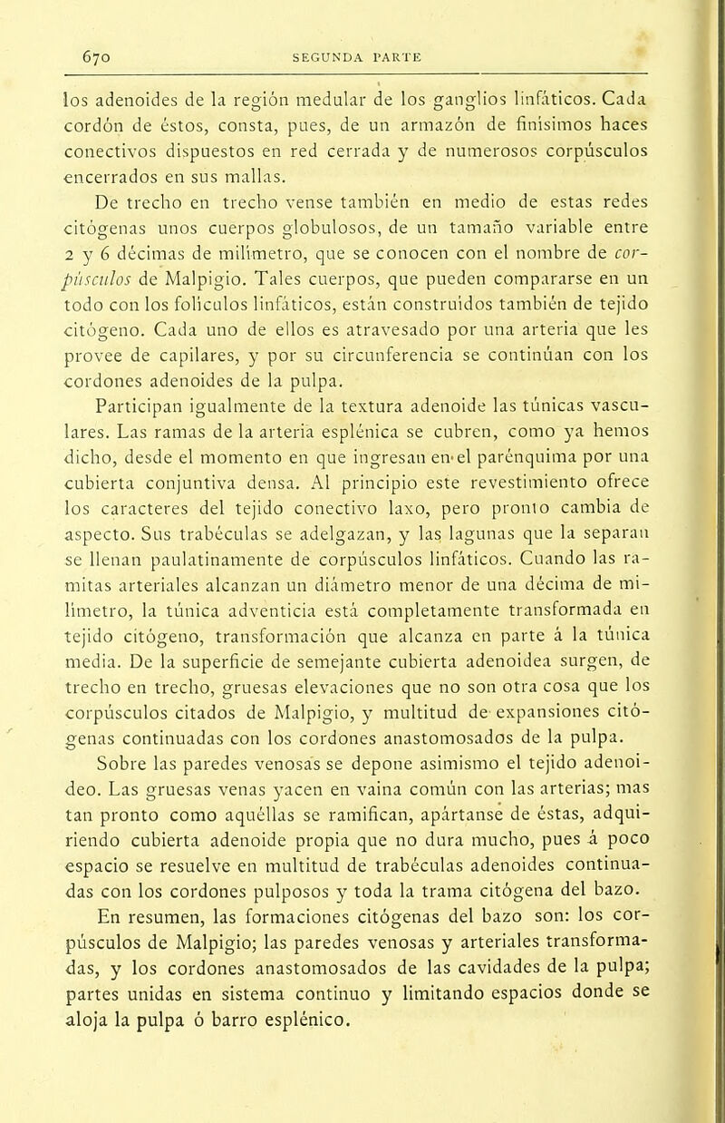 los adenoides de la región medular de los ganglios linfáticos. Cada cordón de éstos, consta, pues, de un armazón de finísimos haces conectivos dispuestos en red cerrada y de numerosos corpúsculos encerrados en sus mallas. De trecho en trecho vense también en medio de estas redes citógenas unos cuerpos globulosos, de un tamaño variable entre 2 y 6 décimas de milímetro, que se conocen con el nombre de cor- púsculos de Malpigio. Tales cuerpos, que pueden compararse en un todo con los folículos linfáticos, están construidos también de tejido citógeno. Cada uno de ellos es atravesado por una arteria que les provee de capilares, y por su circunferencia se continúan con los cordones adenoides de la pulpa. Participan igualmente de la textura adenoide las túnicas vascu- lares. Las ramas de la arteria esplénica se cubren, como ya hemos dicho, desde el momento en que ingresan en-el parénquima por una cubierta conjuntiva densa. Al principio este revestimiento ofrece los caracteres del tejido conectivo laxo, pero pronto cambia de aspecto. Sus trabéculas se adelgazan, y las lagunas que la separan se llenan paulatinamente de corpúsculos linfáticos. Cuando las ra- mitas arteriales alcanzan un diámetro menor de una décima de mi- límetro, la túnica adventicia está completamente transformada en tejido citógeno, transformación que alcanza en parte á la túnica media. De la superficie de semejante cubierta adenoidea surgen, de trecho en trecho, gruesas elevaciones que no son otra cosa que los corpúsculos citados de Malpigio, y multitud de expansiones citó- genas continuadas con los cordones anastomosados de la pulpa. Sobre las paredes venosas se depone asimismo el tejido adenoi- deo. Las gruesas venas yacen en vaina común con las arterias; mas tan pronto como aquéllas se ramifican, apártanse de éstas, adqui- riendo cubierta adenoide propia que no dura mucho, pues á poco espacio se resuelve en multitud de trabéculas adenoides continua- das con los cordones pulposos y toda la trama citógena del bazo. En resumen, las formaciones citógenas del bazo son: los cor- púsculos de Malpigio; las paredes venosas y arteriales transforma- das, y los cordones anastomosados de las cavidades de la pulpa; partes unidas en sistema continuo y limitando espacios donde se aloja la pulpa ó barro esplénico.