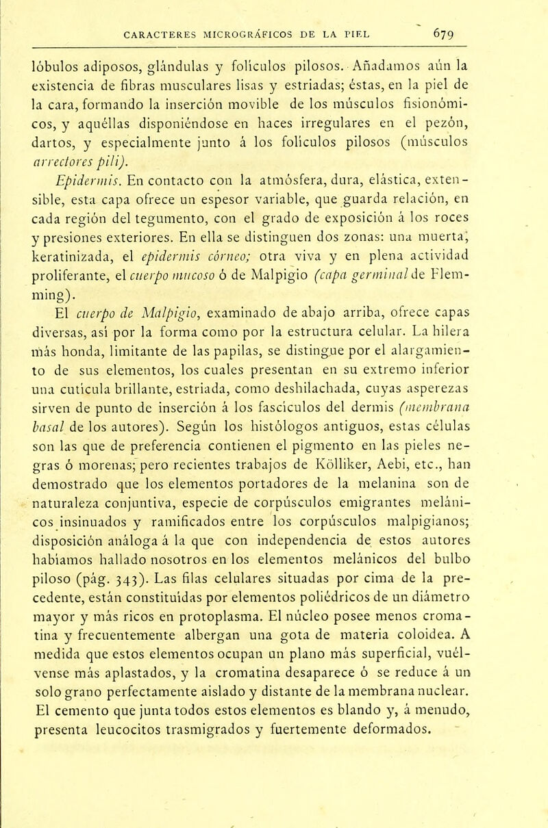 lóbulos adiposos, glándulas y folículos pilosos. Añadamos aún la existencia de fibras musculares lisas y estriadas; éstas, en la piel de la cara, formando la inserción movible de los músculos fisionómi- cos, y aquéllas disponiéndose en haces irregulares en el pezón, dartos, y especialmente junto á los folículos pilosos (músculos arrectores pili). Epidermis. En contacto con la atmósfera, dura, elástica, exten- sible, esta capa ofrece un espesor variable, que guarda relación, en cada región del tegumento, con el grado de exposición á los roces y presiones exteriores. En ella se distinguen dos zonas: una muerta; keratinizada, el epidermis córneo; otra viva y en plena actividad proliferante, el cuerpo mucoso ó de Malpigio (capa germinal de Flem- ming). El cuerpo de Malpigio, examinado de abajo arriba, ofrece capas diversas, así por la forma como por la estructura celular. La hilera rílás honda, limitante de las papilas, se distingue por el alargamien- to de sus elementos, los cuales presentan en su extremo inferior una cutícula brillante, estriada, como deshilacliada, cuyas asperezas sirven de punto de inserción á los fascículos del dermis (membrana basal de los autores). Según los histólogos antiguos, estas células son las que de preferencia contienen el pigmento en las pieles ne- gras ó morenas; pero recientes trabajos de Kólliker, Aebi, etc., han demostrado que los elementos portadores de la melanina son de naturaleza conjuntiva, especie de corpúsculos emigrantes niélam- eos insinuados y ramificados entre los corpúsculos malpigianos; disposición análoga á la que con independencia de estos autores habíamos hallado nosotros en los elementos melánicos del bulbo piloso (pág. 343). Las filas celulares situadas por cima de la pre- cedente, están constituidas por elementos poliédricos de un diámetro mayor y más ricos en protoplasma. El núcleo posee menos croma- tina y frecuentemente albergan una gota de materia coloidea. A medida que estos elementos ocupan un plano más superficial, vuél- vense más aplastados, y la cromatina desaparece ó se reduce á un solo grano perfectamente aislado y distante de la membrana nuclear. El cemento que junta todos estos elementos es blando y, á menudo, presenta leucocitos trasmigrados y fuertemente deformados.