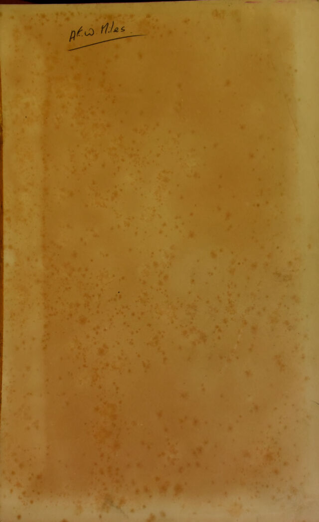 digitised image 3