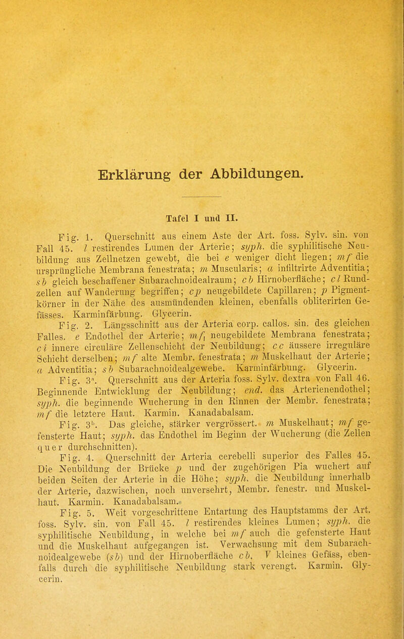 Erklärung der Abbildungen. Tafel I und II. Fig. 1. Querschnitt aus einem Aste der Art. foss. Sylv. sin. von Fall 45. / restirendes Lumen der Arterie; syj)1i. die syphilitische Neu- bildung aus Zellnetzen gewebt, die bei e weniger dicht liegen; m/'die ursprüngliche Membrana fenestrata; m Muscularis; a intiltrirte Adventitia; s b gleich beschaffener Subarachnoidealraum; c t Hirnoberfläche; c l Rund- zellen auf Wanderung begriffen; cp neugebildete Capillaren; ;; Pigment- körner in der Nähe des ausmündenden kleinen, ebenfalls obliterirten Ge- fässes. Karminfärbung. Glycerin. Fig. 2. Längsschnitt aus der Arteria corp. callos. sin. des gleichen Falles, e Endothel der Arterie; mf^ neugebildete Membrana fenestrata; ci innere circuläre Zellenschicht der Neubildung; cc äussere irreguläre Schicht derselben; wi/ alte Membr. fenestrata; Muskelhaut der Arterie; a Adventitia; sh Subarachnoidealgewebe. Karminfärbung. Glycerin. Fig. 3\ Querschnitt aus der Arteria foss. Sylv. dextra von Fall 46. Beginnende Entwicklung der Neubildung; end. das Arterienendothel; syph. die beginnende Wucherung in den Rinnen der Membr. fenestrata; mf die letztere Haut. Karmin. Kanadabalsam. Fig. 3''. Das gleiche, stärker vergrössert. in Muskelhaut; mf ge- fensterte Haut; syph. das Endothel im Beginn der Wucherung (die Zellen q u e r durchschnitten). Fig. 4. Querschnitt der Arteria cerebelli superior des Falles 45. Die Neubildung der Brücke p und der zugehörigen Pia wuchert auf beiden Seiten der Arterie in die Höhe; syph. die Neubildung innerhalb der Arterie, dazwischen, noch unversehrt, Membr. fenestr. und Muskel- haut. Karmin. Kanadabalsam.' Fig. 5. Weit vorgeschrittene Entartung des Hauptstamms der Art. foss. Sylv. sin. von Fall 45. l restirendes kleines Lumen; syph. die syphilitische Neubildung, in welche bei mf auch die gefensterte Haut und die Muskelhaut aufgegangen ist. Verwachsung mit dem Subarach- noidealgewebe {sb) und der Hirnoberfläche cb. V kleines Gefäss, eben- falls durch die syphilitische Neubildung stark verengt. Karmin. Gly- cerin.