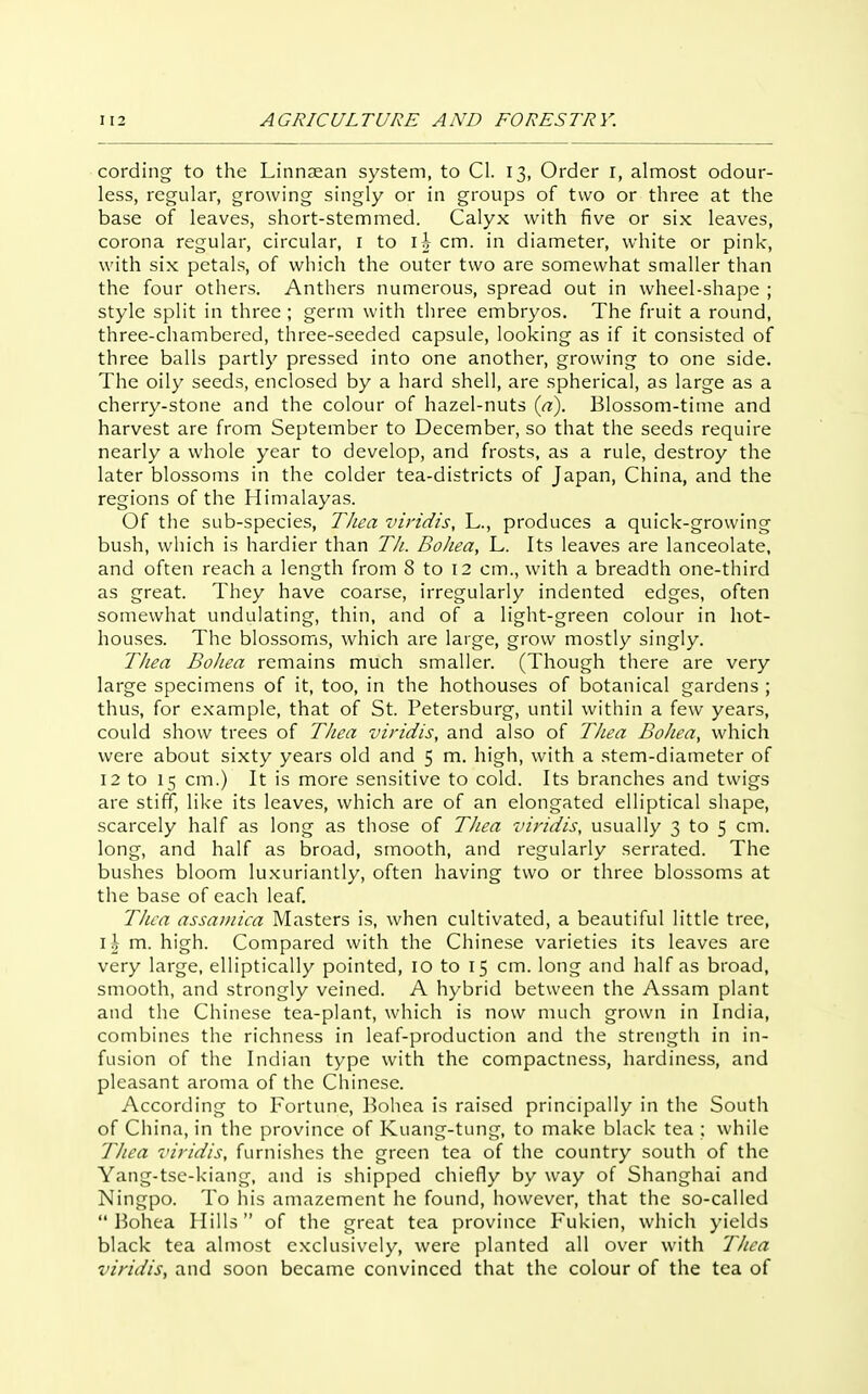 cording to the Linnaean system, to CI. 13, Order r, almost odour- less, regular, growing singly or in groups of two or three at the base of leaves, short-stemmed. Calyx with five or six leaves, corona regular, circular, i to i j- cm. in diameter, white or pink, with six petals, of which the outer two are somewhat smaller than the four others. Anthers numerous, spread out in wheel-shape ; style split in three ; germ with three embryos. The fruit a round, three-chambered, three-seeded capsule, looking as if it consisted of three balls partly pressed into one another, growing to one side. The oily seeds, enclosed by a hard shell, are spherical, as large as a cherry-stone and the colour of hazel-nuts {a). Blossom-time and harvest are from September to December, so that the seeds require nearly a whole year to develop, and frosts, as a rule, destroy the later blossoms in the colder tea-districts of Japan, China, and the regions of the Himalayas. Of the sub-species, TJiea viridis, L., produces a quick-growing bush, which is hardier than TIi. Bohea, L. Its leaves are lanceolate, and often reach a length from 8 to 12 cm., with a breadth one-third as great. They have coarse, irregularly indented edges, often somewhat undulating, thin, and of a light-green colour in hot- houses. The blossoms, which are large, grow mostly singly. Thea BoJiea remains much smaller. (Though there are very large specimens of it, too, in the hothouses of botanical gardens ; thus, for example, that of St. Petersburg, until within a few years, could show trees of Thea viridis, and also of Thea Bohea, which were about sixty years old and 5 m. high, with a stem-diameter of 12 to 15 cm.) It is more sensitive to cold. Its branches and twigs are stiff, like its leaves, which are of an elongated elliptical shape, scarcely half as long as those of Thea viridis, usually 3 to 5 cm. long, and half as broad, smooth, and regularly serrated. The bushes bloom lu.xuriantly, often having two or three blossoms at the base of each leaf Thea assaniica Masters is, when cultivated, a beautiful little tree, I \ m. high. Compared with the Chinese varieties its leaves are very large, elliptically pointed, 10 to 15 cm. long and half as broad, smooth, and strongly veined. A hybrid between the Assam plant and the Chinese tea-plant, which is now much grown in India, combines the richness in leaf-production and the strengtii in in- fusion of the Indian type with the compactness, hardiness, and pleasant aroma of the Chinese. According to Fortune, Bohea is raised principally in the South of China, in the province of Kuang-tung, to make black tea ; while TJiea viridis, furnishes the green tea of the country south of the Yang-tse-kiang, and is shipped chiefly by way of Shanghai and Ningpo. To his amazement he found, however, that the so-called Bohea Hills of the great tea province Fukien, which yields black tea almost exclusively, were planted all over with Thea viridis^ and soon became convinced that the colour of the tea of