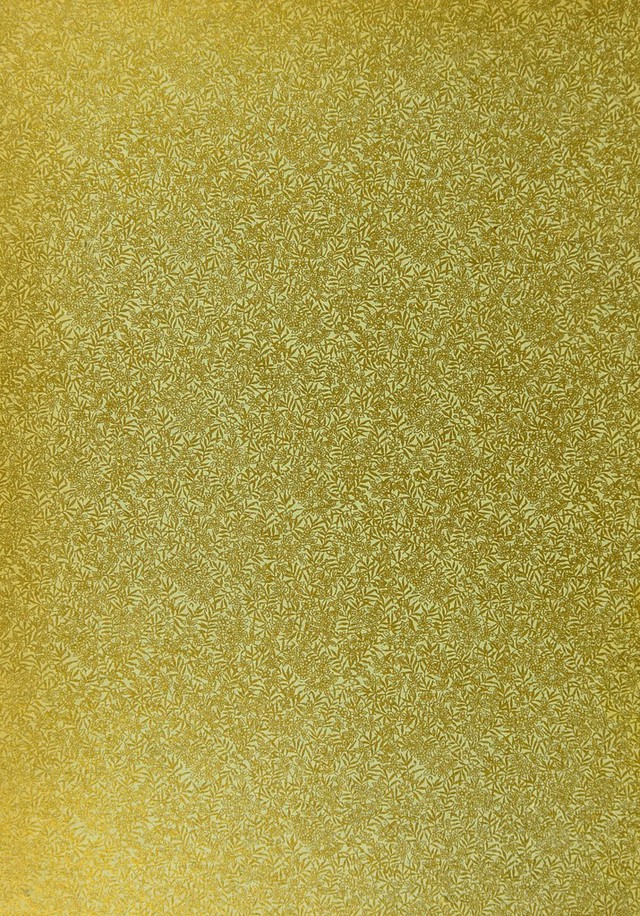 digitised image 2