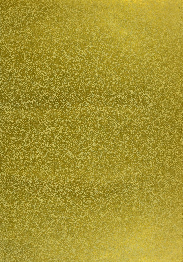 digitised image 3