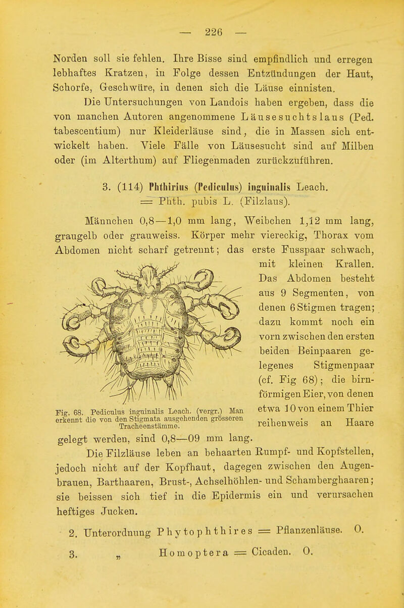 Norden soll sie felilen. Ihre Bisse sind empfindlich und erregen lebhaftes Kratzen, in Folge dessen Entzündungen der Haut, Schorfe, Greschwiire, in denen sich die Läuse einnisten. Die Untersuchungen von Landois haben ergeben, dass die von manchen Autoren angenommene Läusesuchtslaus (Ped. tabescentium) nur Kleiderläuse sind, die in Massen sich ent- wickelt haben. Viele Fälle von Läusesucht sind auf Milben oder (im Alterthum) auf Fliegenraaden zurückzuführen. 3. (114) Phthiriiis (l'cdiculiis) iiigiiiiialis Leach. = Phth. pubis L. (Filzlaus). Männchen 0,8 —1,0 mm lang, Weibchen 1,12 mm lang, graugelb oder grauweiss. Körper mehr viereckig, Thorax vom Abdomen nicht scharf getrennt; das erste Fusspaar schwach, mit kleinen Krallen. Das Abdomen besteht aus 9 Segmenten, von denen 6 Stigmen tragen; dazu kommt noch ein vorn zwischen den ersten beiden Beinpaaren ge- legenes Stigmenpaar (cf. Fig 68); die birn- förmigen Eier, von denen etwa 3 0 von einem Thier reihenweis an Haare gelegt werden, sind 0,8—09 mm lang. Die Filzläuse leben an behaarten Rumpf- und Kopfstellen, jedoch nicht auf der Kopfhaut, dagegen zwischen den Augen- brauen, Barthaaren, Brust-, Achselhöhlen- und Schamberghaaren; sie beissen sich tief in die Epidermis ein und verursachen heftiges Jucken. 2. Unterordnung Phytophthires = Pflanzenläuse. 0. 3. ^ Homoptera = Cicaden. 0. Fig. 68. Pediculus ingninalis Leach. (vergr.) Man erkennt die von den Stigmata ausgehenden grösseren Traclie enstämme.