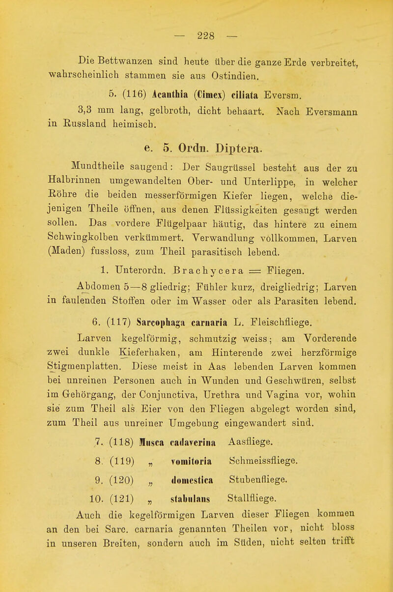 Die Bettwanzen sind heute über die ganze Erde verbreitet, wahrscheinlich stammen sie aus Ostindien. 5. (116) Acauthia (Cimex) ciliata Eversm, 3,3 mm lang, gelbroth, dicht behaart. Nach Eversmann in ßussland heimisch. e. 5. Ordii. Diptera. Mundtheile saugend: Der Saugrüssel besteht aus der zu Halbrinnen umgewandelten Ober- und Unterlippe, in welcher Eöhre die beiden messerförmigen Kiefer liegen, welche die- jenigen Theile öffnen, aus denen Flüssigkeiten gesaugt werden sollen. Das vordere Flügelpaar häutig, das hintere zu einem Schwingkolben verkümmert. Verwandlung vollkommen, Larven (Maden) fussloss, zum Theil parasitisch lebend. 1. Unterordn. Brachycera = Fliegen. Abdomen 5—8 gliedrig; Fühler kurz, dreigliedrig; Larven in faulenden Steifen oder im Wasser oder als Parasiten lebend, 6. (117) Sarcophaga caruaria L. Fleischfliege. Larven kegelförmig, schmutzig weiss; am Vorderende ■zwei dunkle Kieferhaken, am Hinterende zwei herzförmige Stigmenplatten. Diese meist in Aas lebenden Larven kommen bei unreinen Personen auch in Wunden und Geschwüren, selbst im Gehörgang, der Conjunctiva, Urethra und Vagina vor, wohin sie zum Theil als Eier von den Fliegen abgelegt worden sind, zum Theil aus unreiner Umgebung eingewandert sind. 7. (118) IBiisca cailavcriiia Aasfliege. 8. (119) „ vomitoria Schraeissfliege. 9. (120) „ doiiicstica Stubenfliege. 10. (121) „ stalmlaiis Stallfliege. Auch die kegelförmigen Larven dieser Fliegen kommen an den bei Sarc. carnaria genannten Theilen vor, nicht bloss in unseren Breiten, sondern auch im Süden, nicht selten trifft